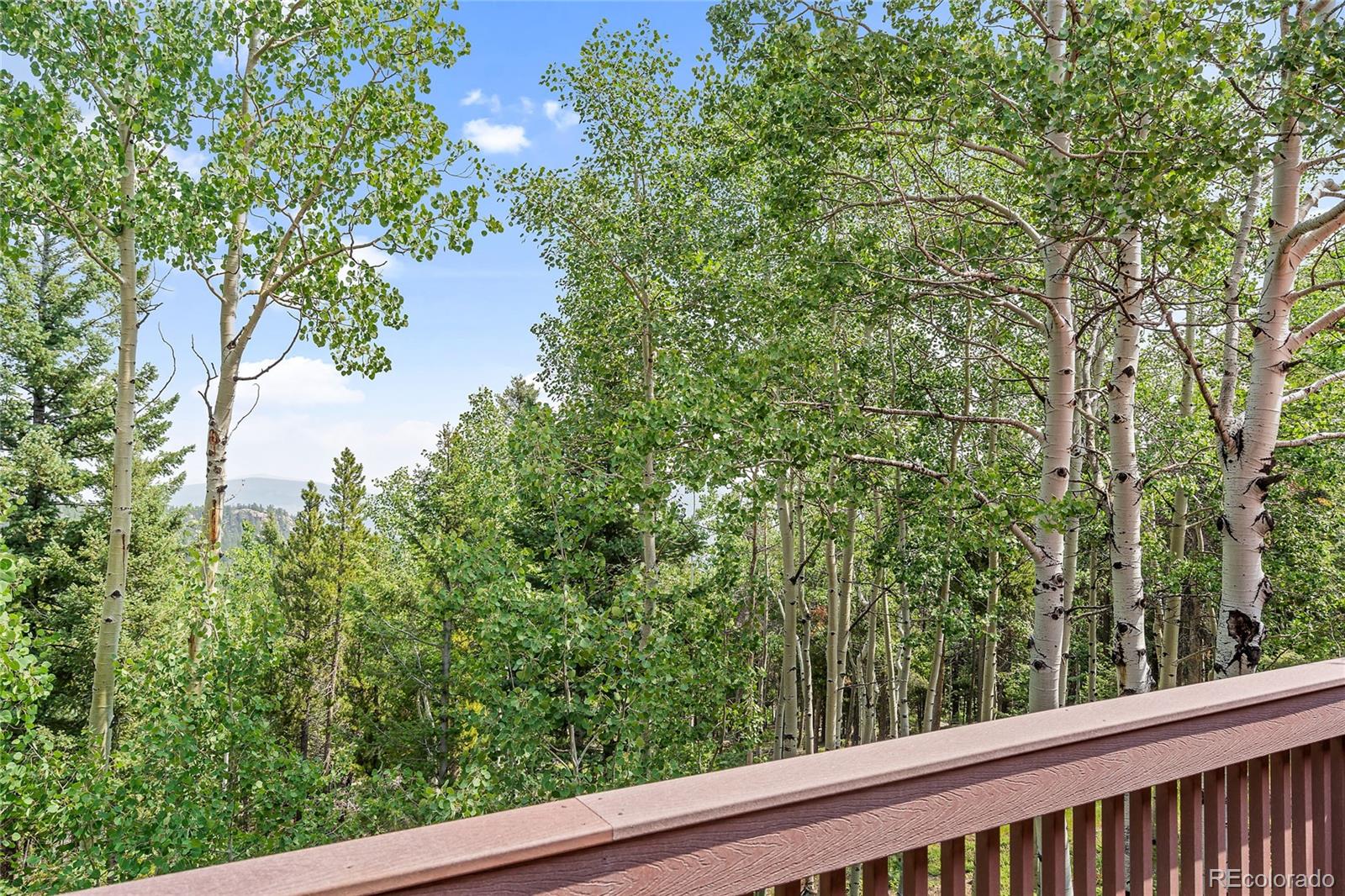 MLS Image #21 for 30031  nancys lane,conifer, Colorado