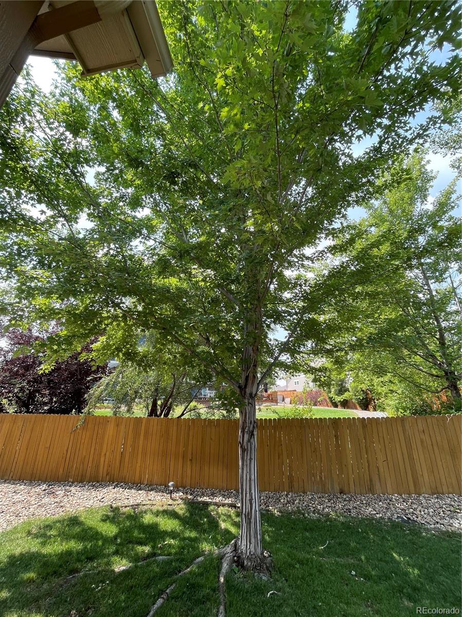 MLS Image #39 for 1284  lawson avenue,erie, Colorado
