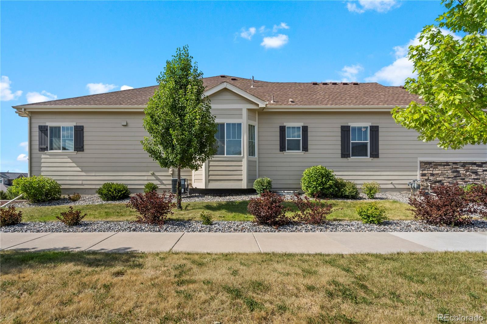 MLS Image #3 for 9037 s catawba street,aurora, Colorado