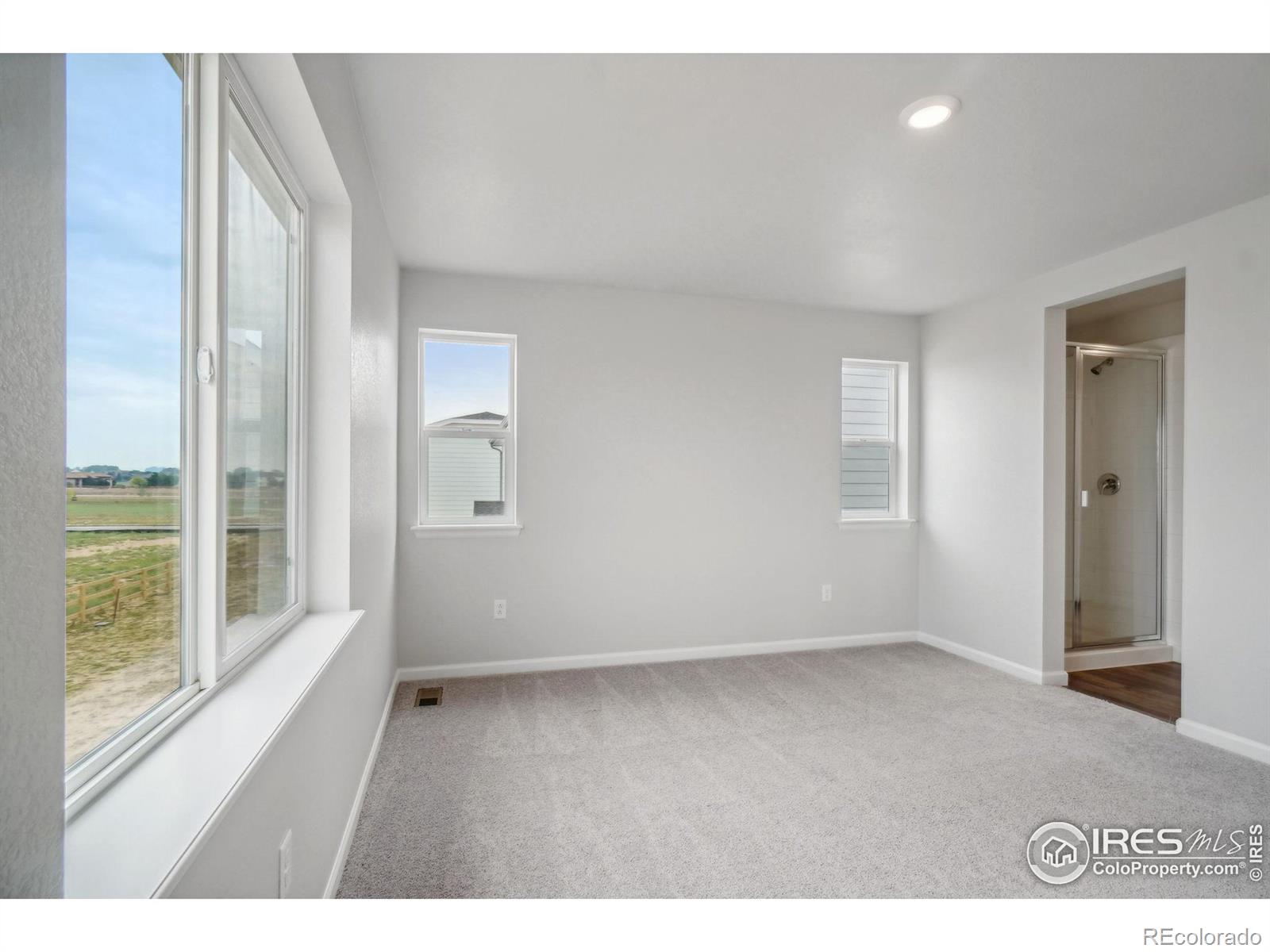 MLS Image #23 for 840  hummocky way,windsor, Colorado