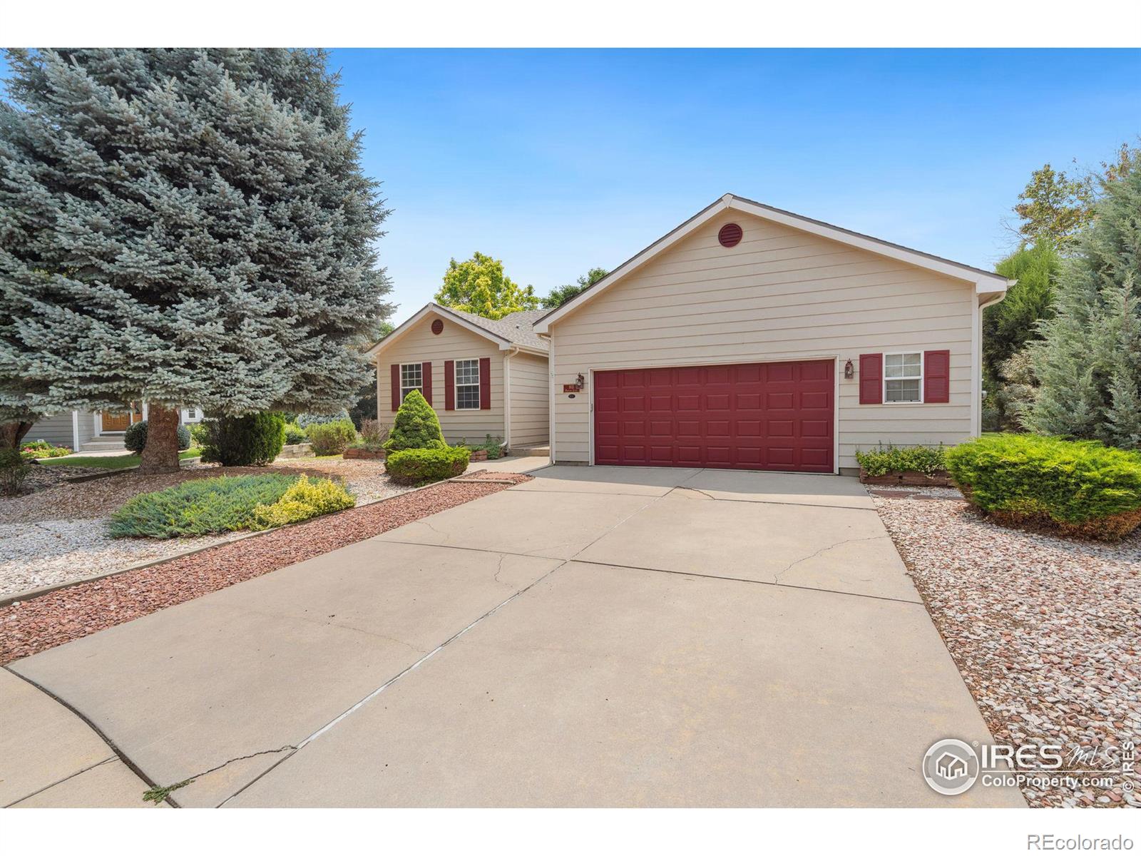 MLS Image #1 for 813  rumford court,fort collins, Colorado