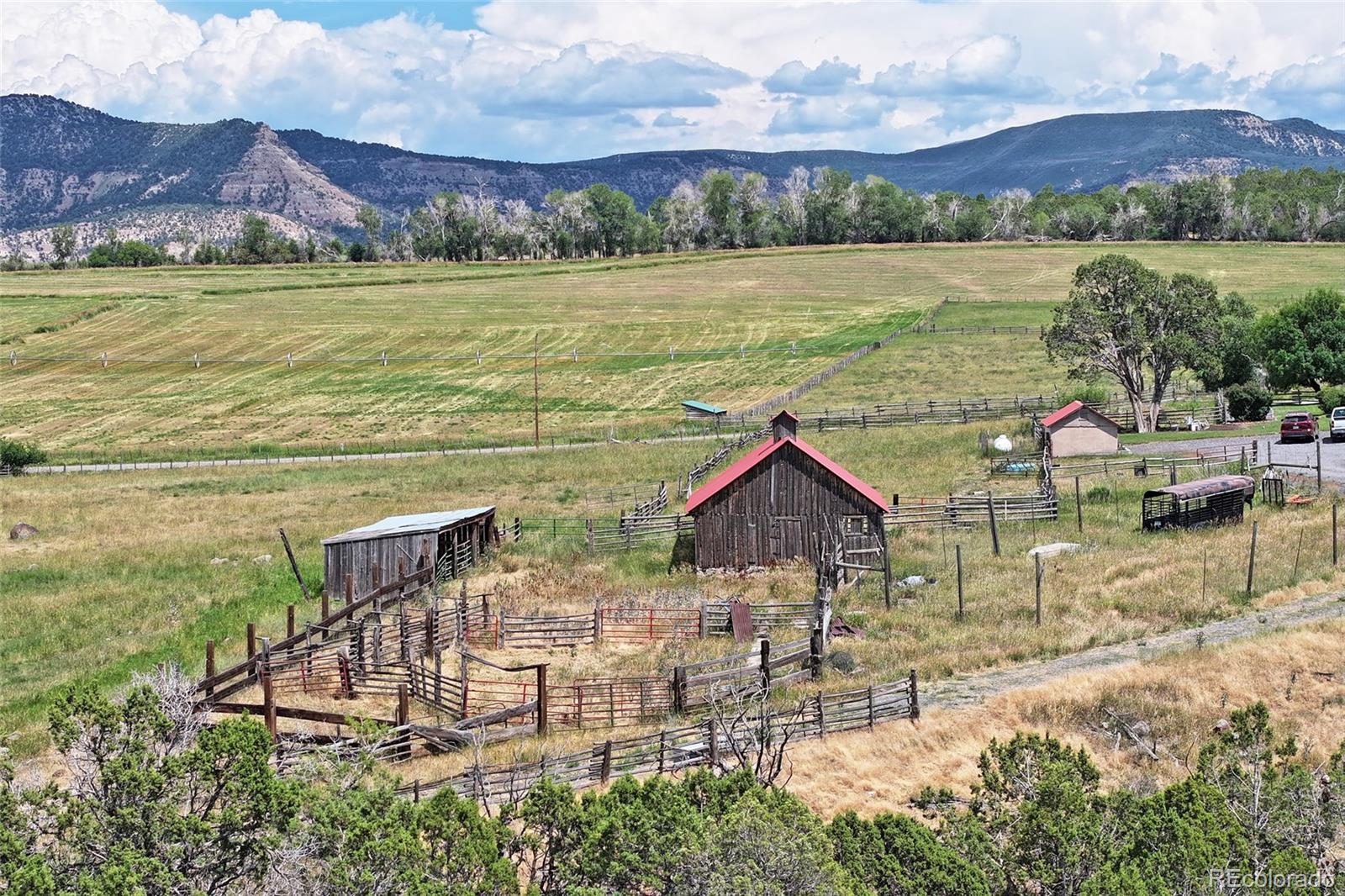 MLS Image #22 for 13715  58 road,collbran, Colorado