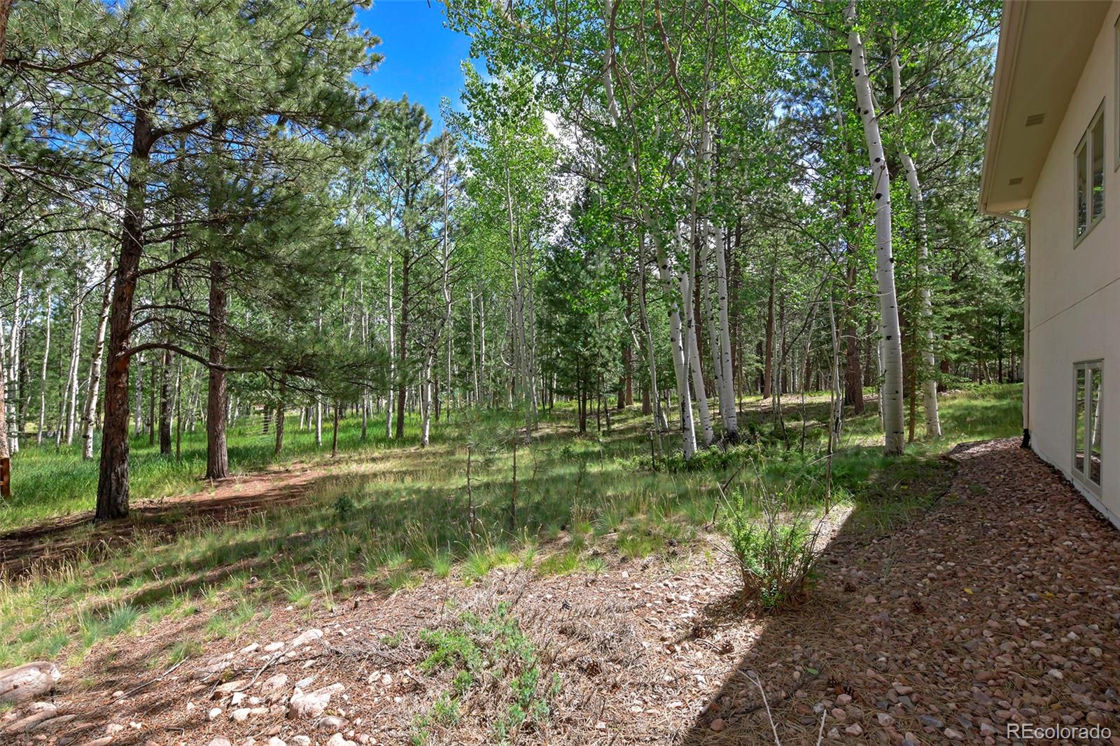 MLS Image #26 for 1390  windflower lane,woodland park, Colorado