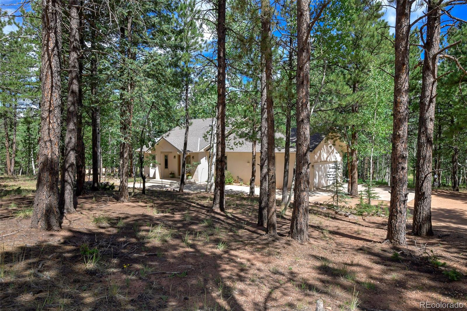 MLS Image #28 for 1390  windflower lane,woodland park, Colorado