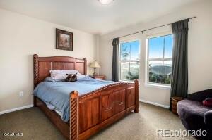MLS Image #17 for 104  saddle horn court,granby, Colorado