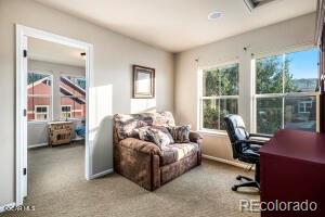 MLS Image #18 for 104  saddle horn court,granby, Colorado