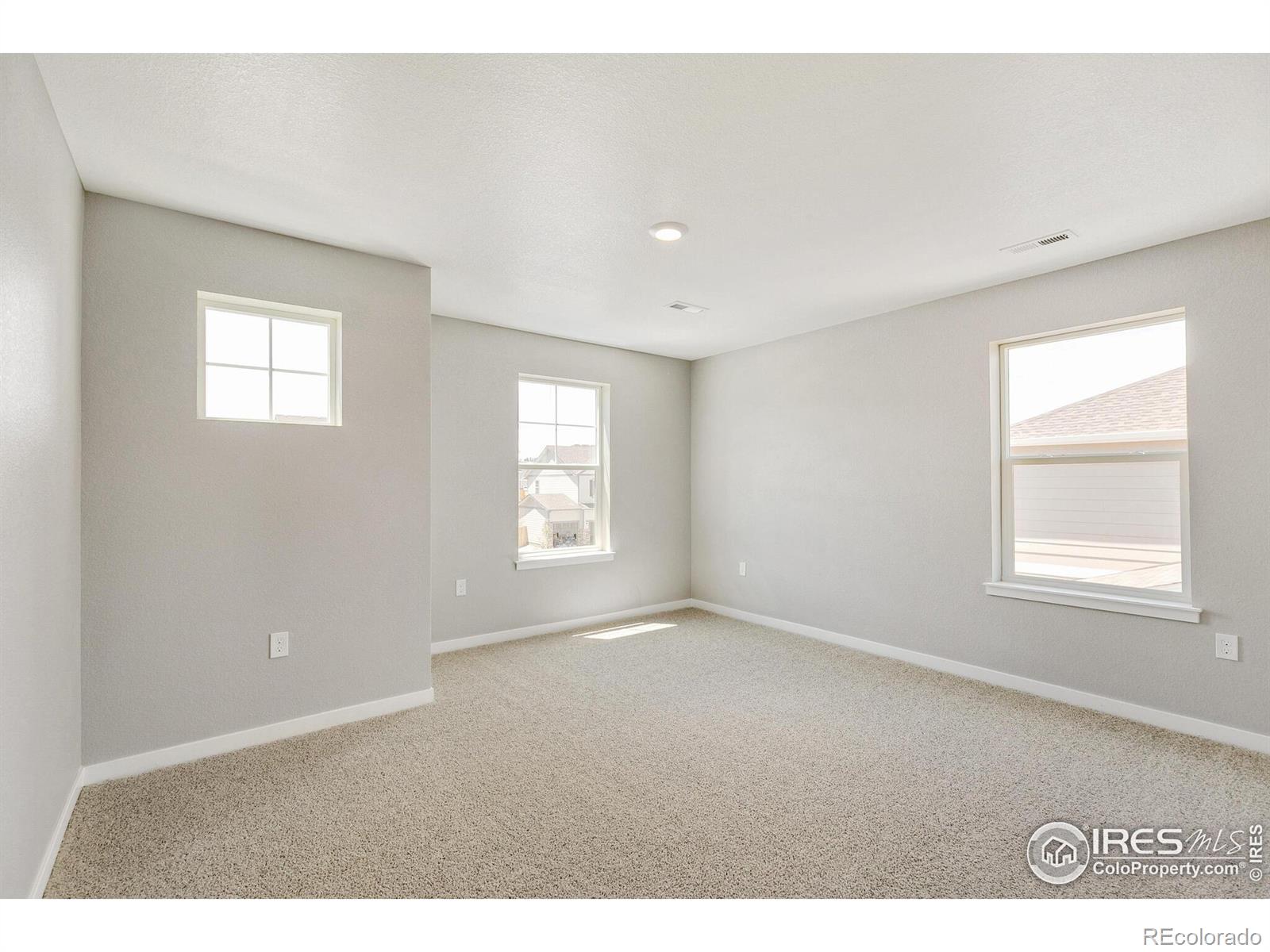 MLS Image #17 for 13611  topaz place,mead, Colorado