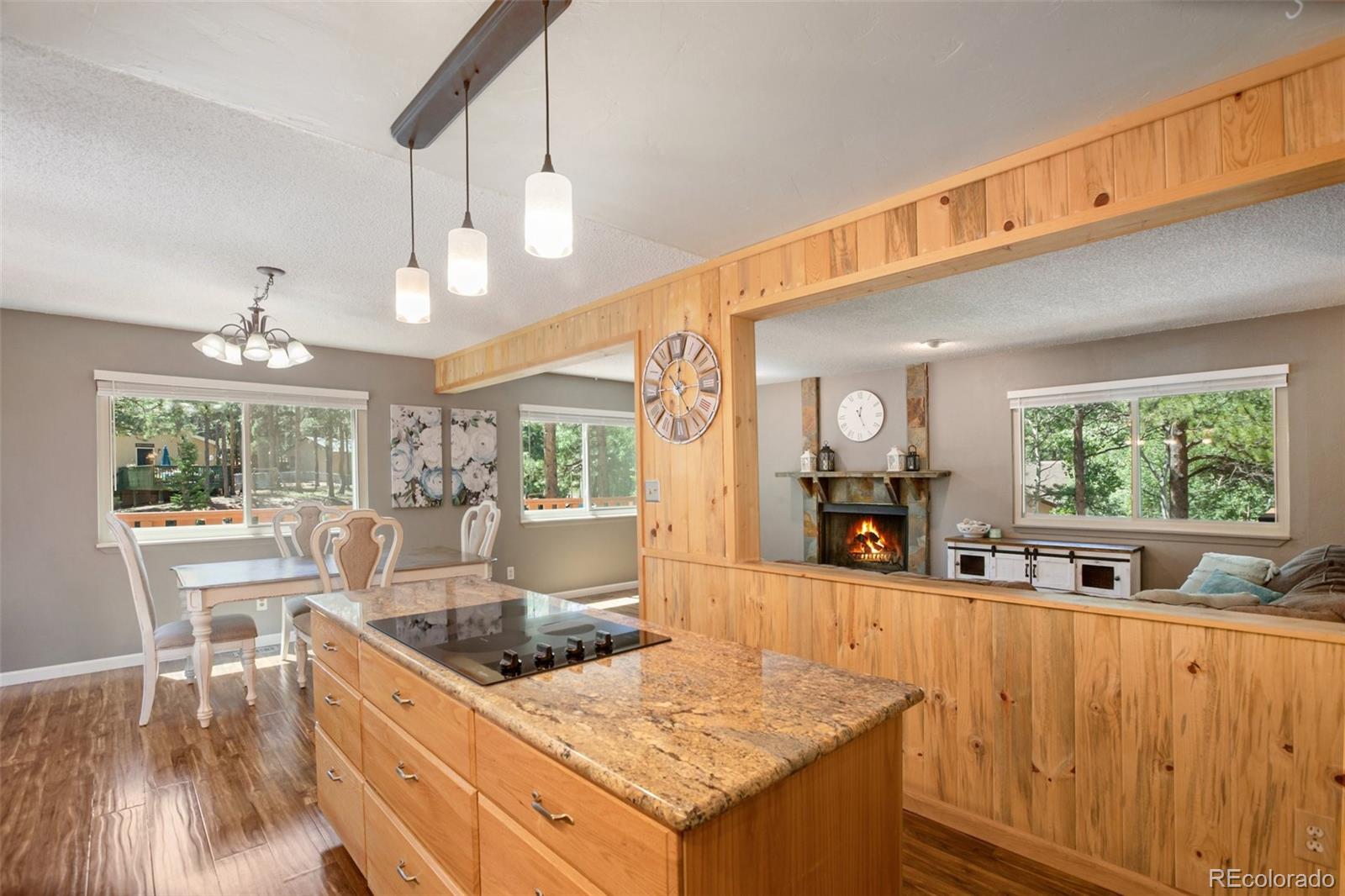 MLS Image #15 for 1276  terri lane,woodland park, Colorado