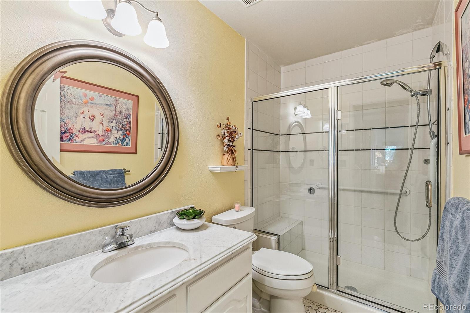 MLS Image #21 for 16  canongate lane,highlands ranch, Colorado