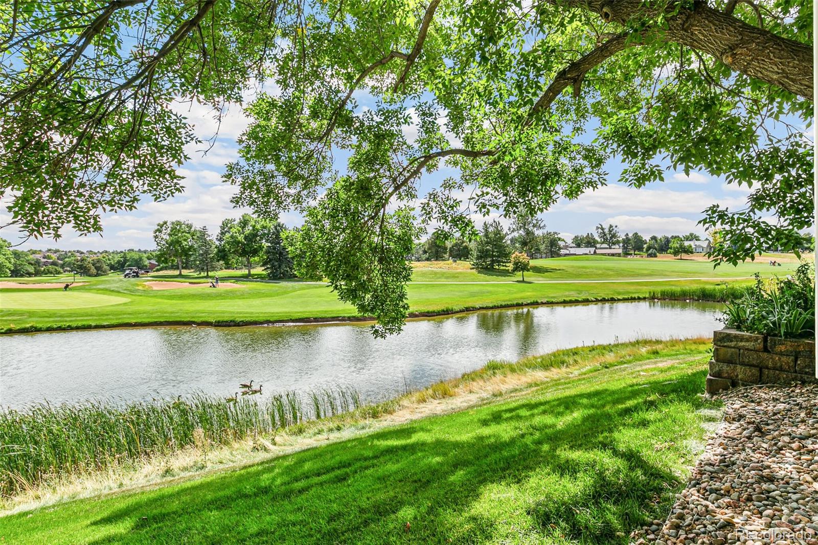 MLS Image #31 for 16  canongate lane,highlands ranch, Colorado