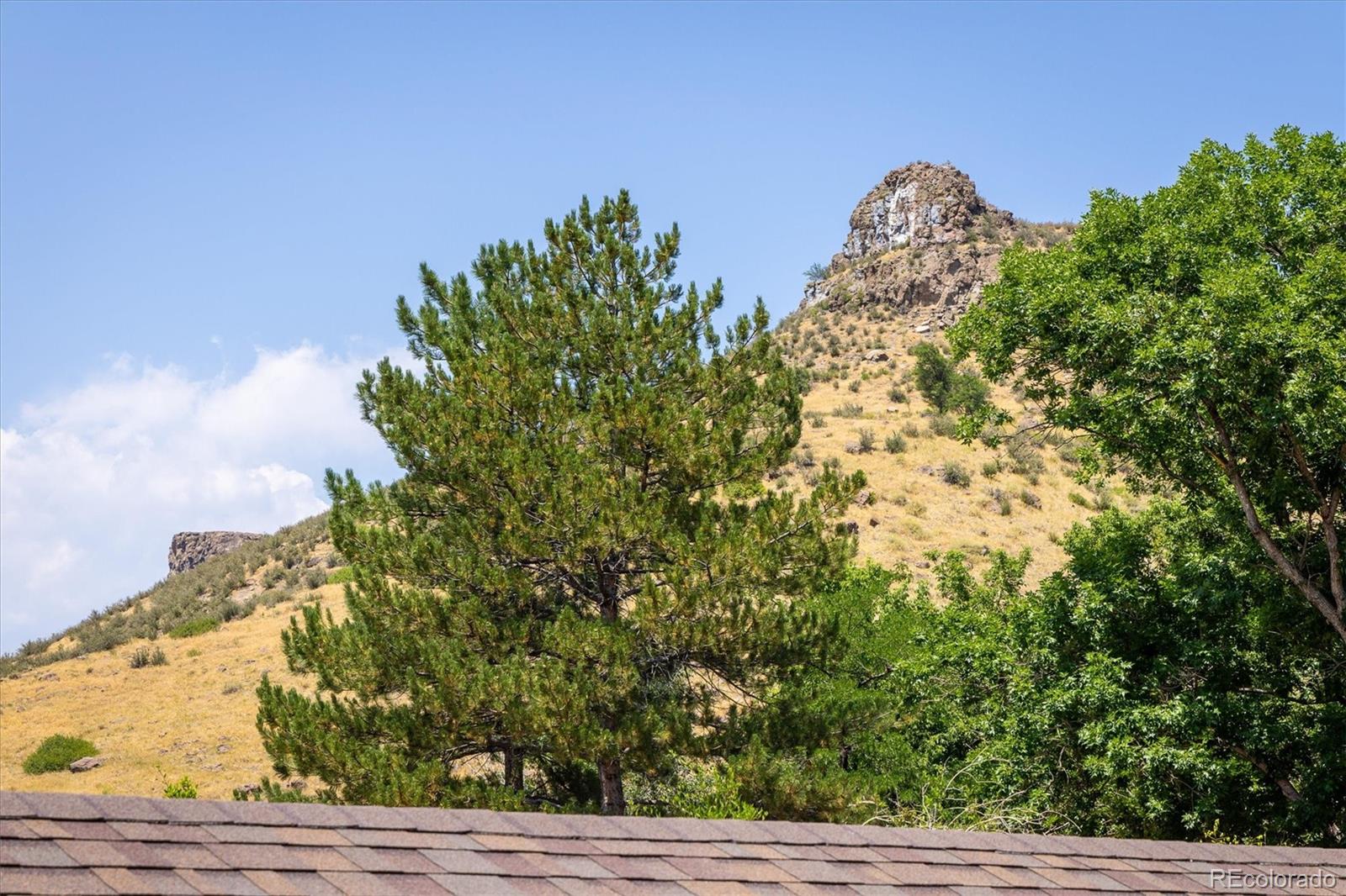 MLS Image #18 for 212  lookout view court,golden, Colorado