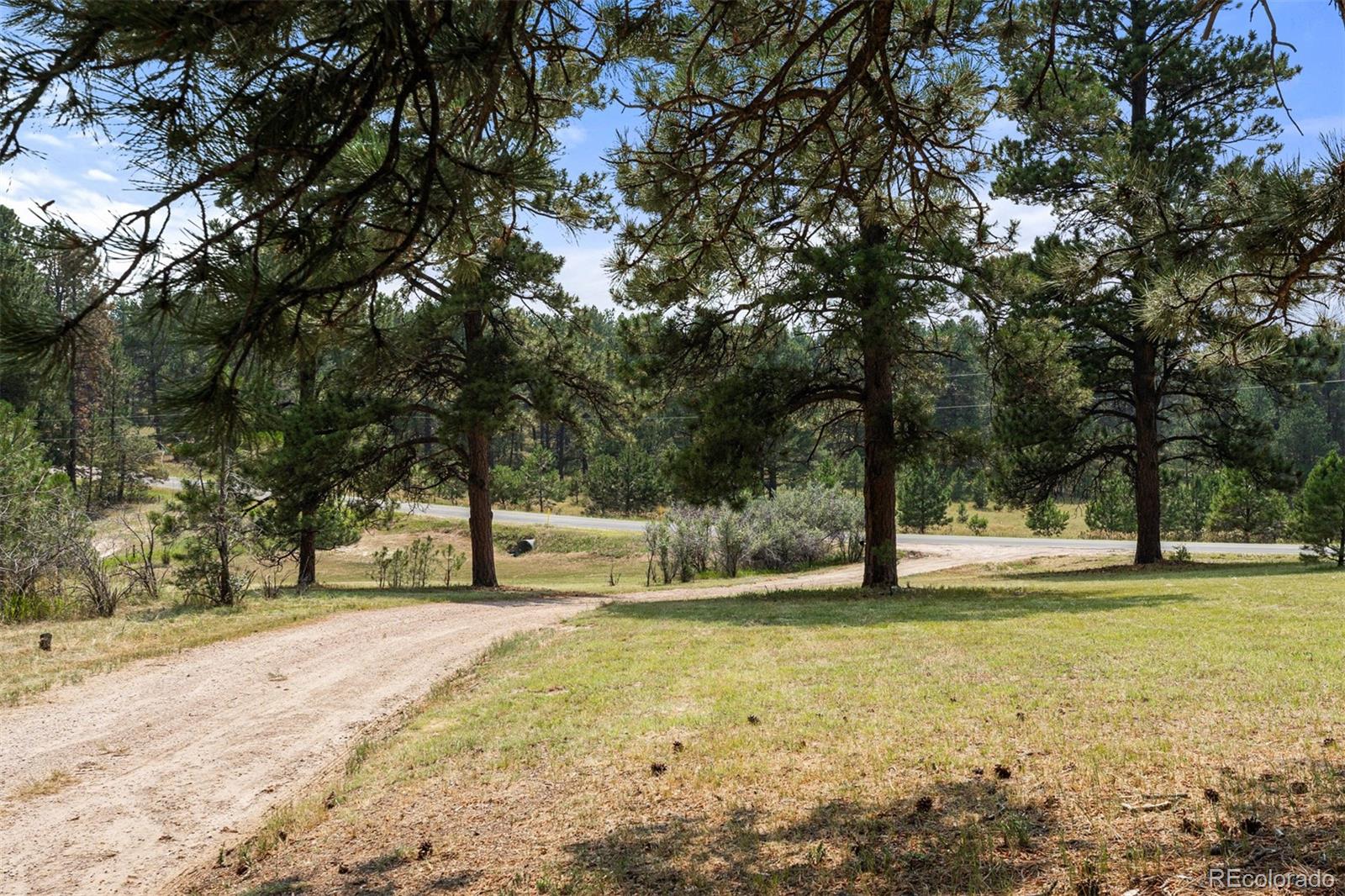 MLS Image #49 for 36725  forest trail,elizabeth, Colorado