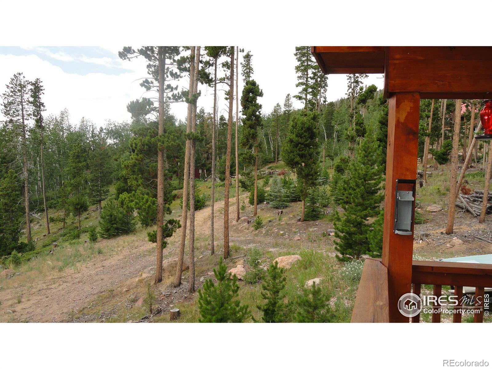 MLS Image #27 for 763  jicarilla trail,red feather lakes, Colorado