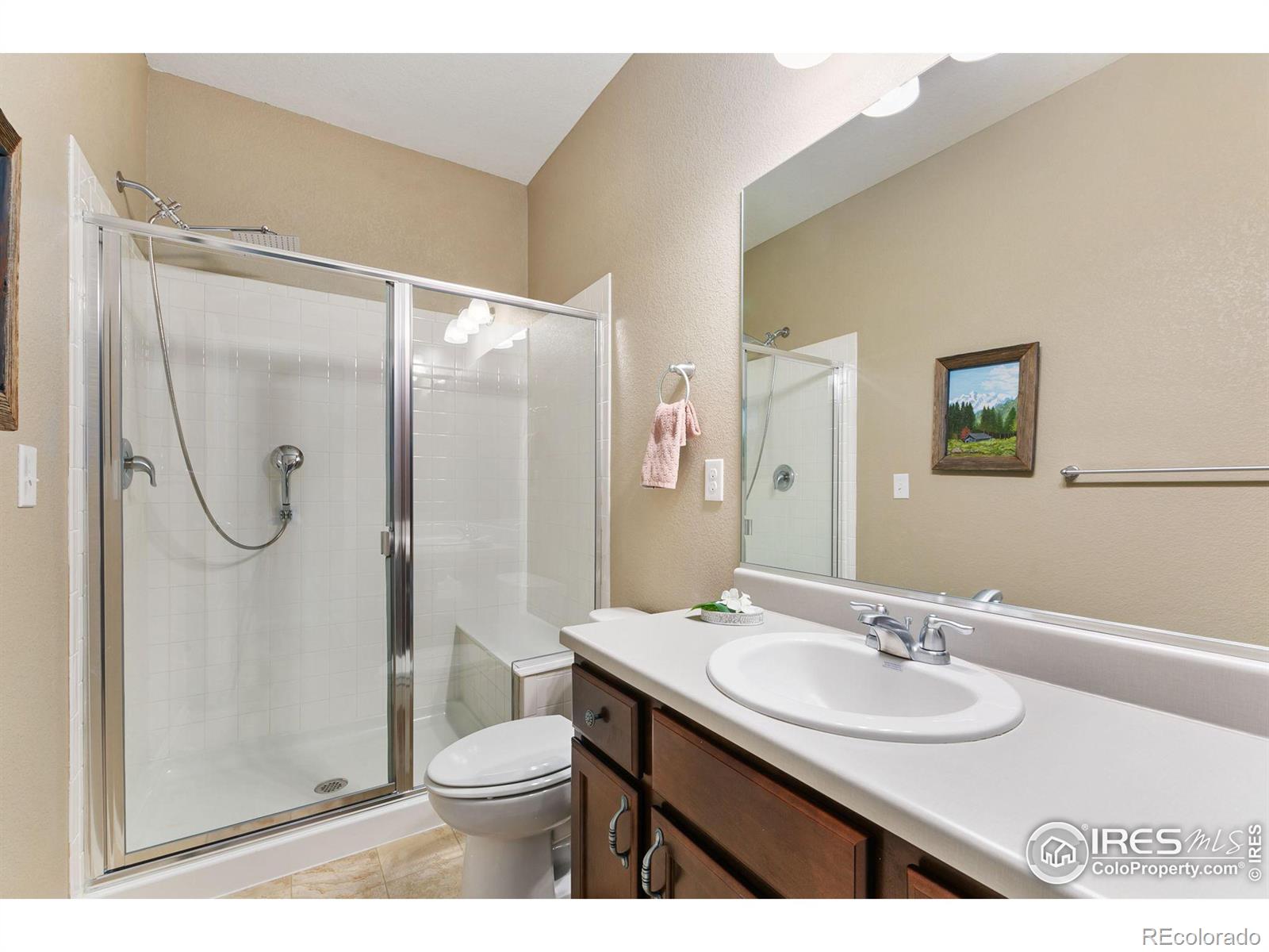 MLS Image #14 for 5876  connor street,timnath, Colorado