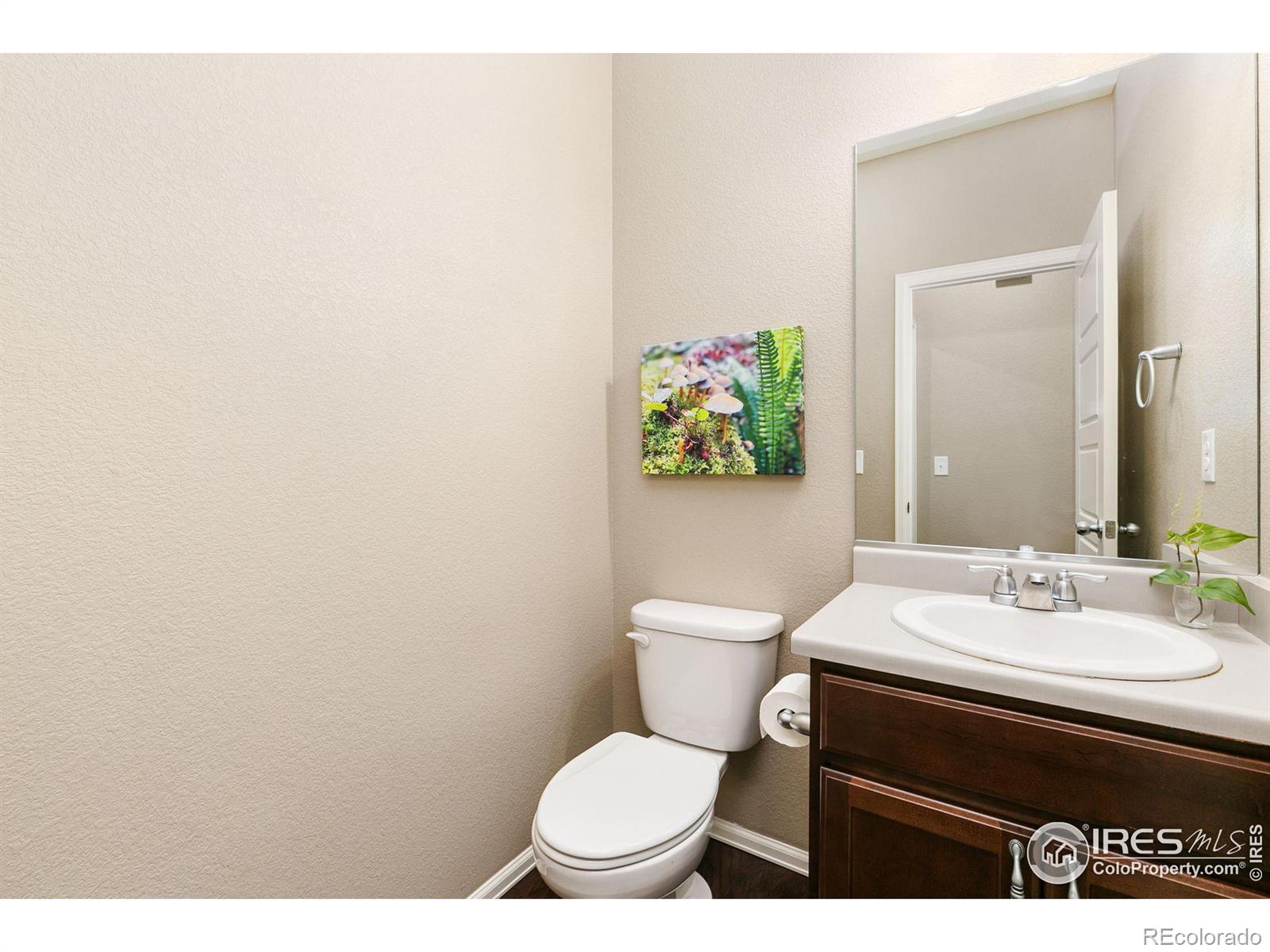 MLS Image #15 for 5876  connor street,timnath, Colorado