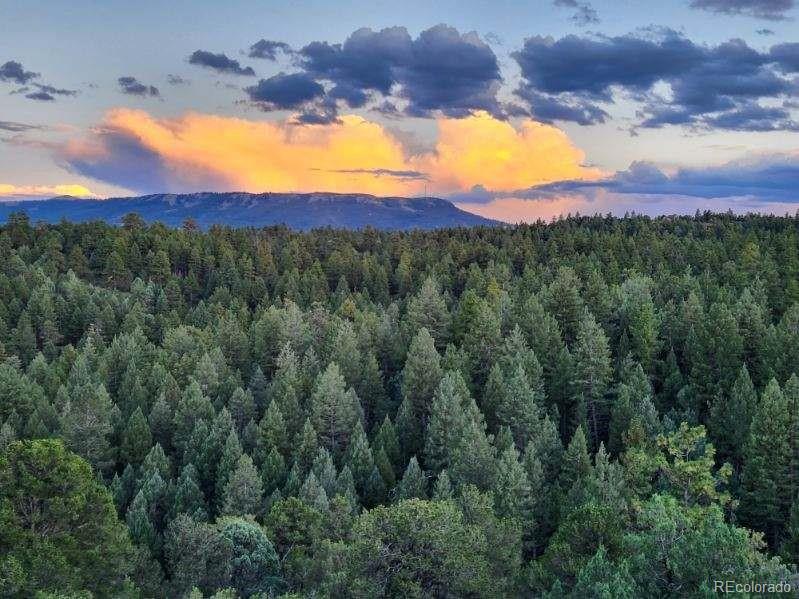 MLS Image #48 for 33170  old mission ridge,trinidad, Colorado