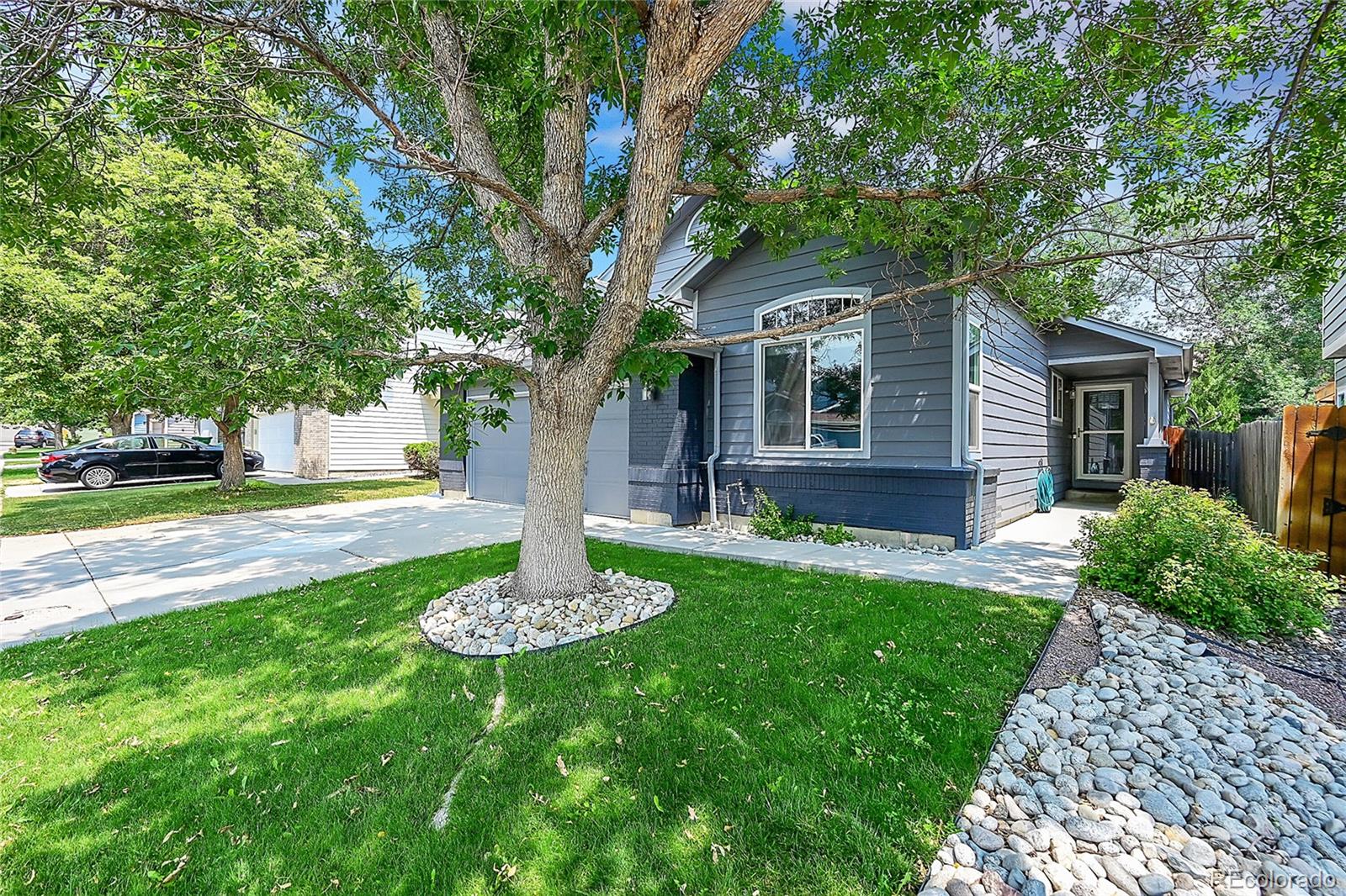 CMA Image for 4347  choke cherry avenue,Broomfield, Colorado