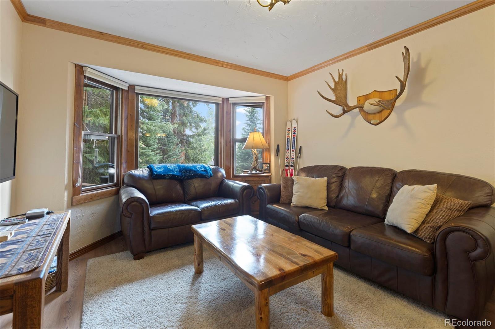 MLS Image #21 for 39  new england drive,breckenridge, Colorado