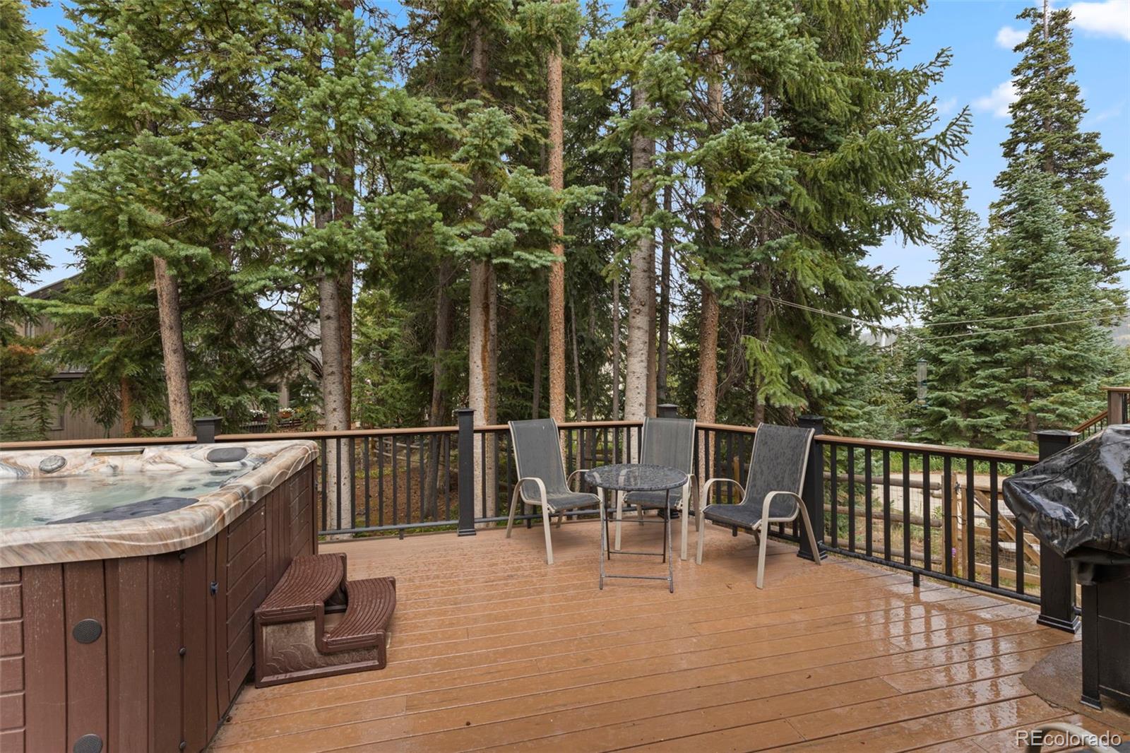 MLS Image #34 for 39  new england drive,breckenridge, Colorado