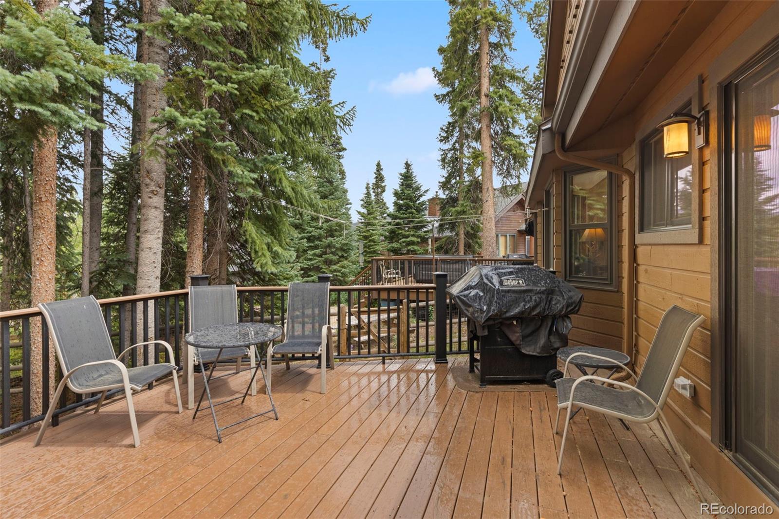 MLS Image #36 for 39  new england drive,breckenridge, Colorado