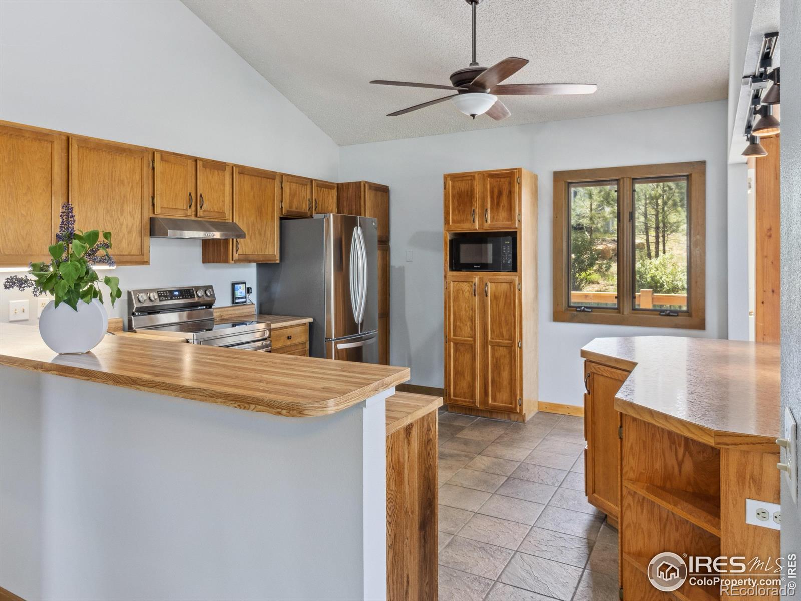 MLS Image #18 for 1315  alpenglow lane,estes park, Colorado