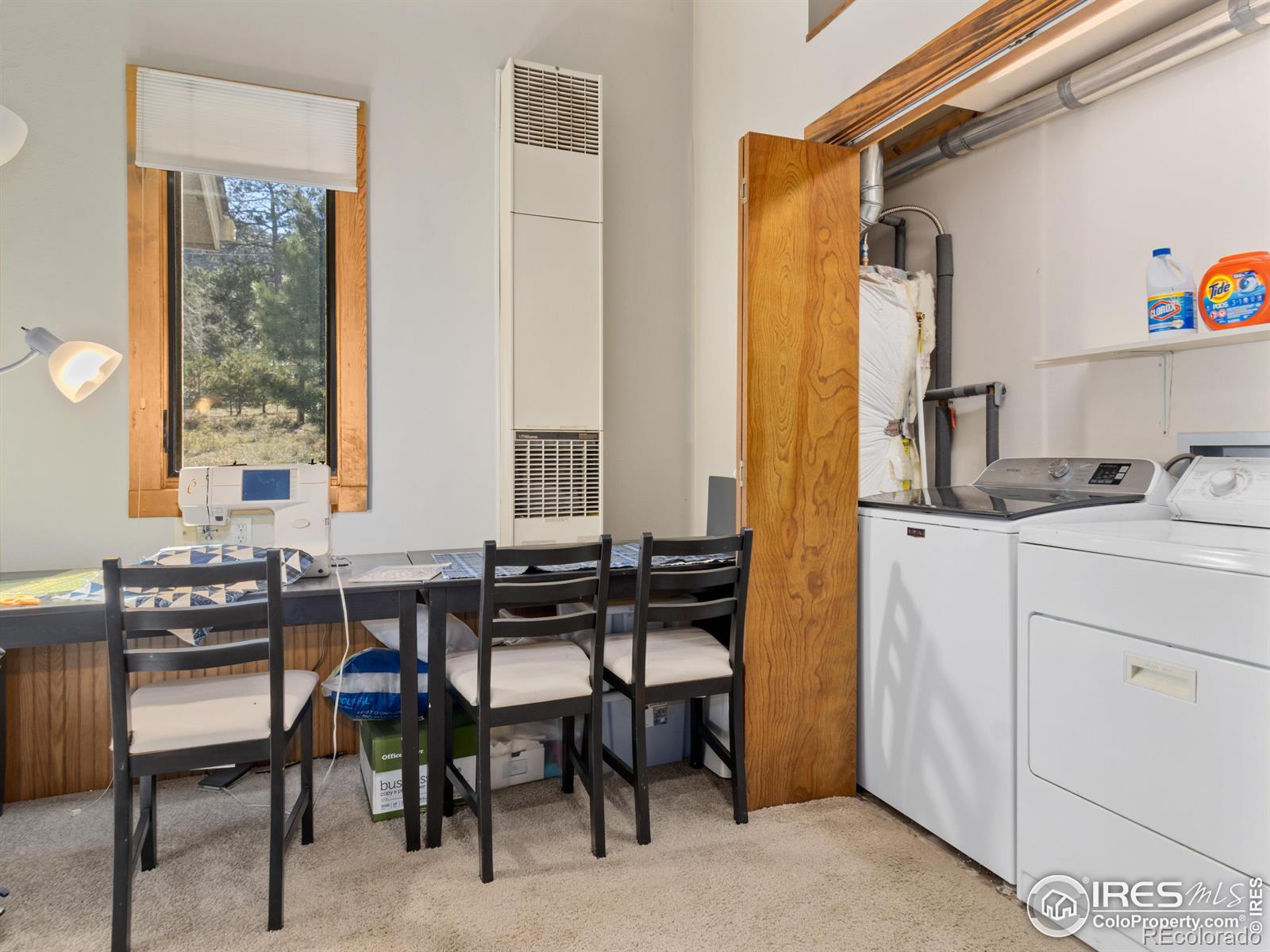 MLS Image #29 for 1315  alpenglow lane,estes park, Colorado