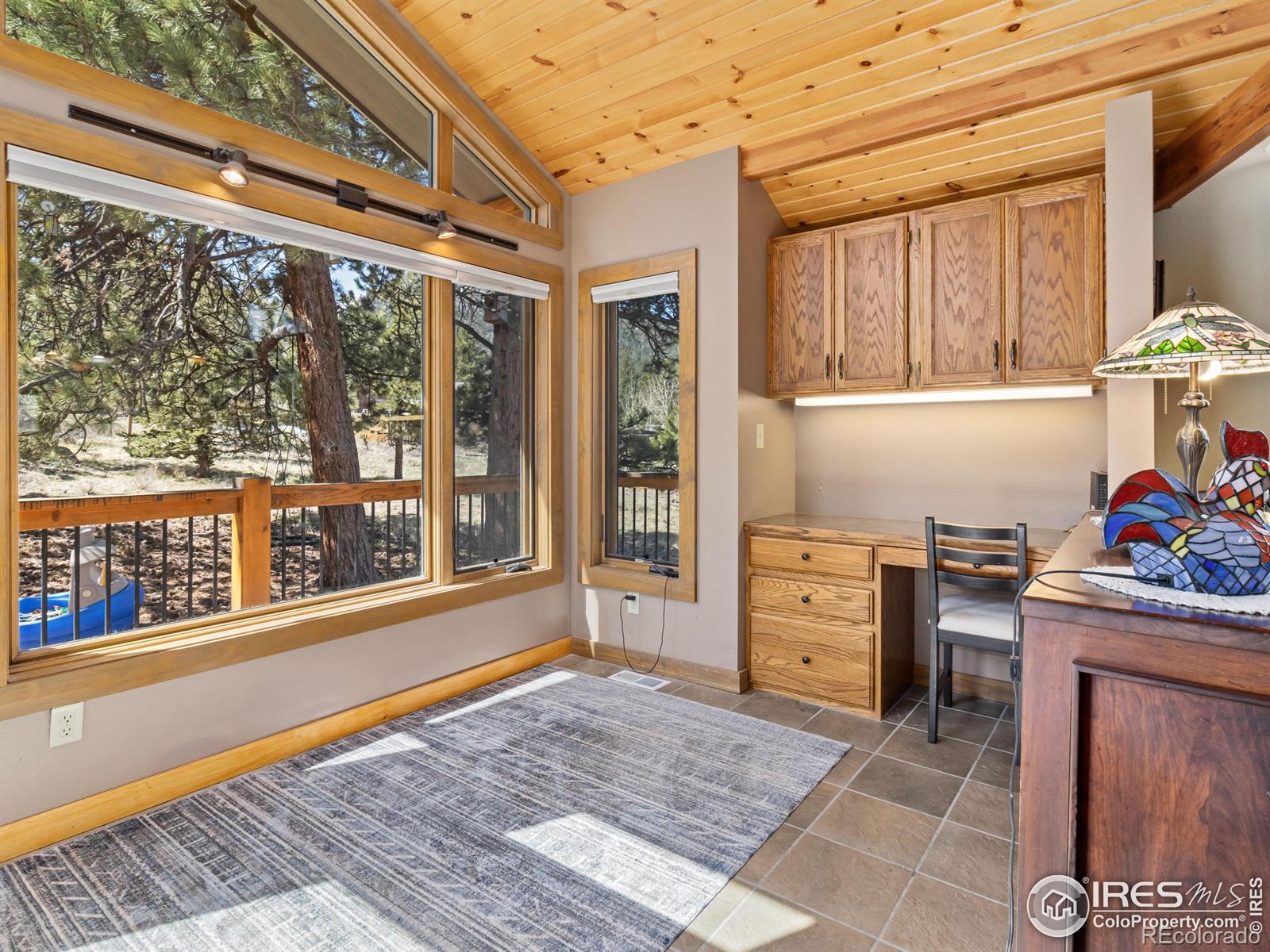 MLS Image #5 for 1315  alpenglow lane,estes park, Colorado