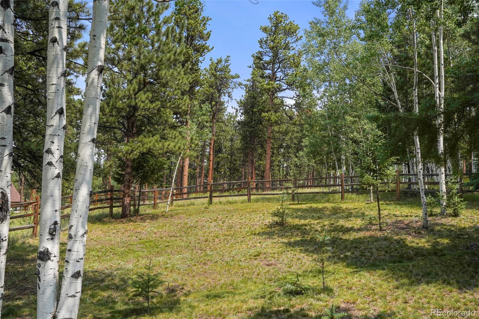 MLS Image #46 for 3233  regent drive,woodland park, Colorado