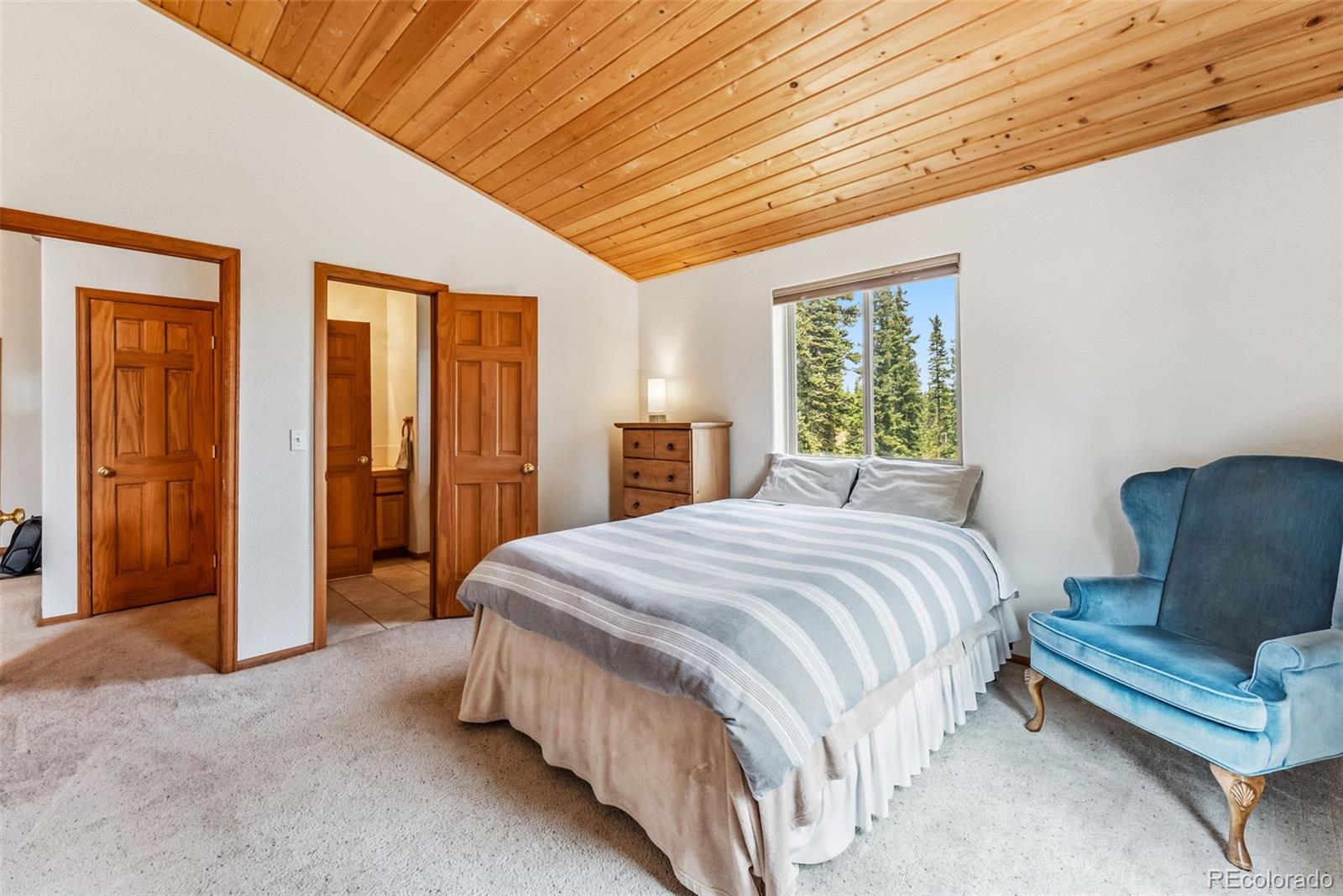 MLS Image #11 for 121  grizzly drive,fairplay, Colorado