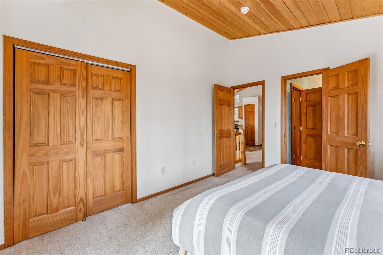 MLS Image #14 for 121  grizzly drive,fairplay, Colorado