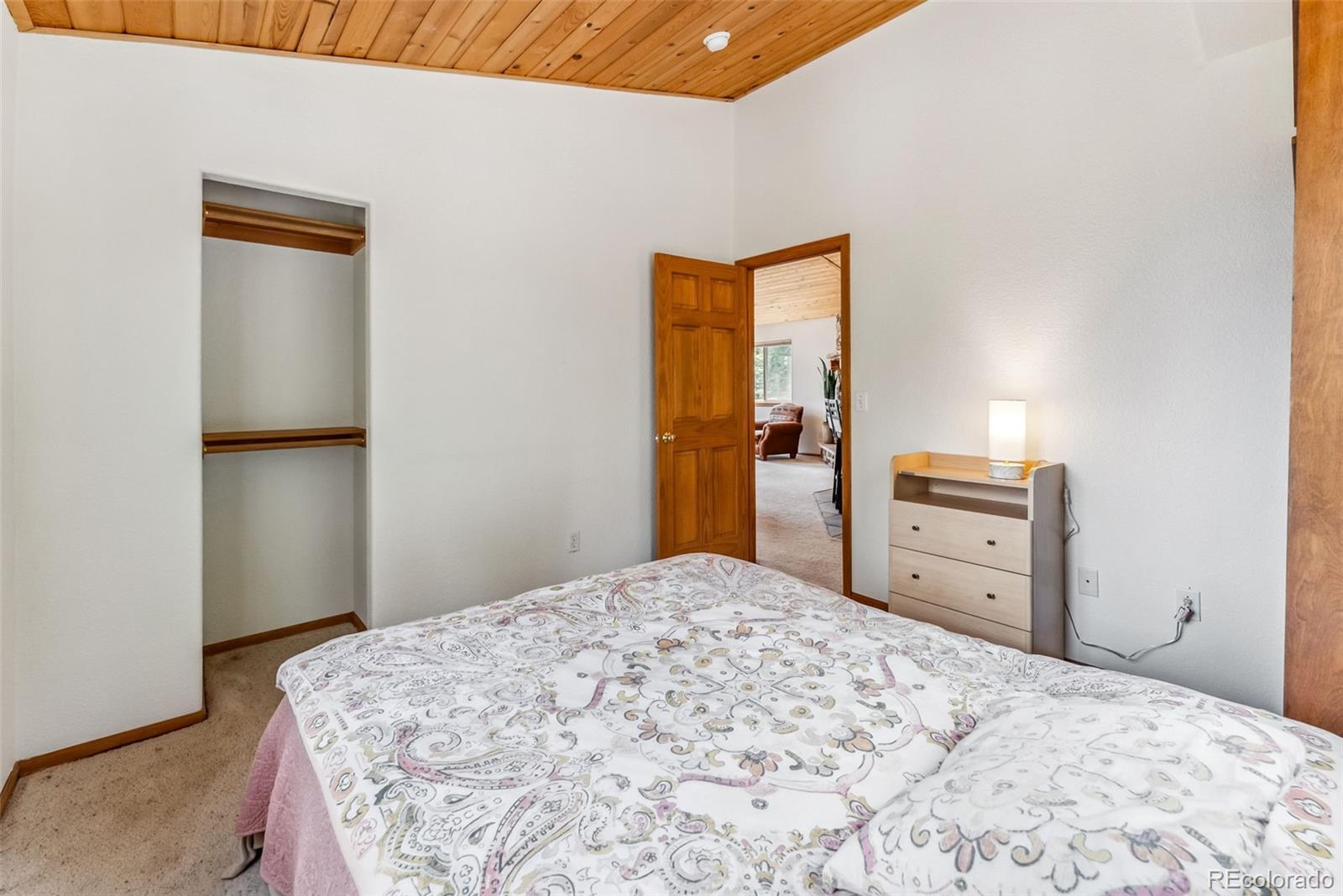 MLS Image #19 for 121  grizzly drive,fairplay, Colorado