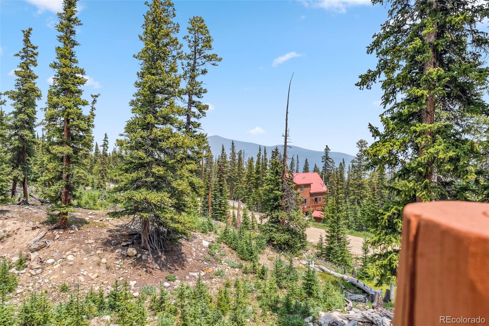 MLS Image #23 for 121  grizzly drive,fairplay, Colorado