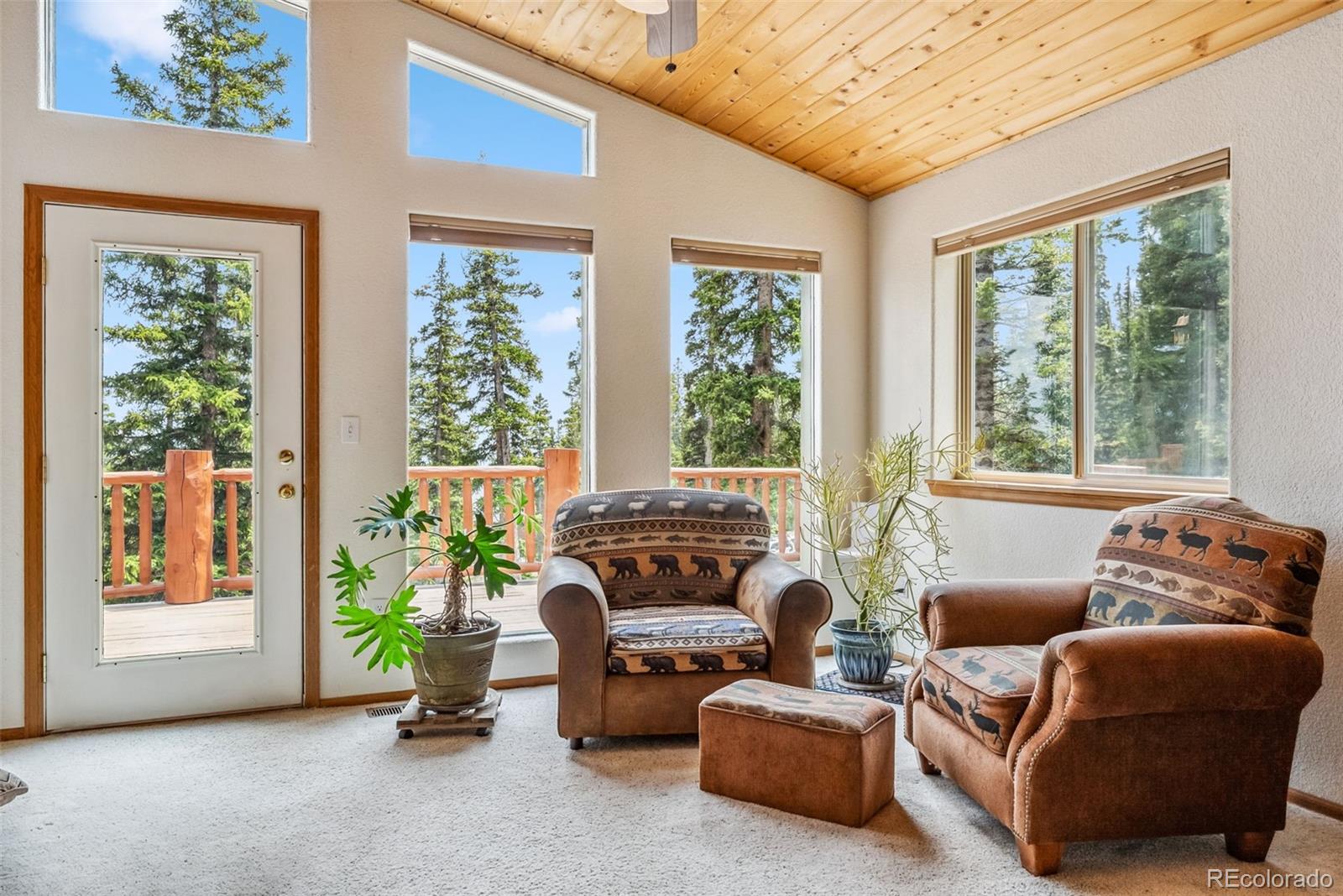 MLS Image #4 for 121  grizzly drive,fairplay, Colorado