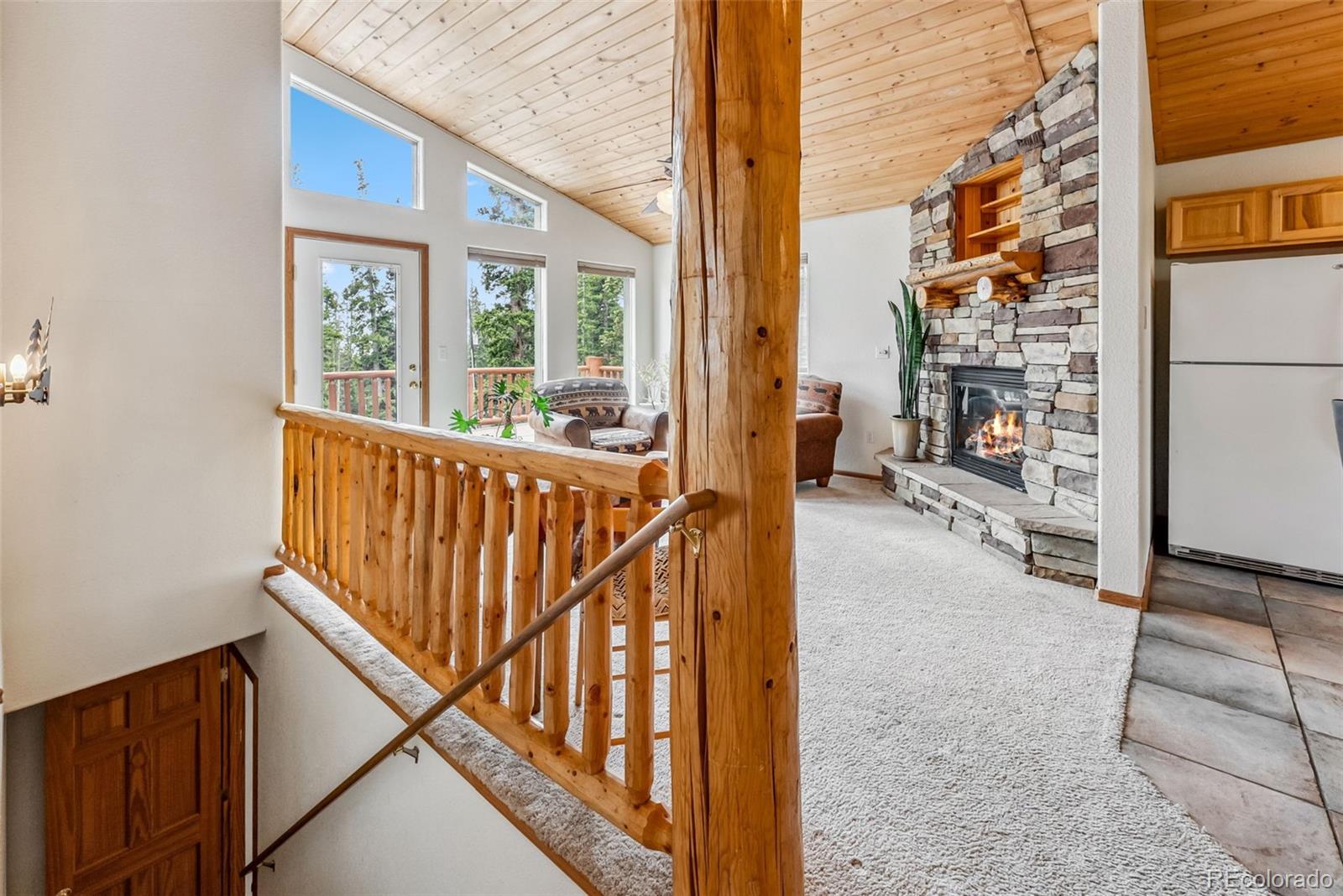 MLS Image #43 for 121  grizzly drive,fairplay, Colorado