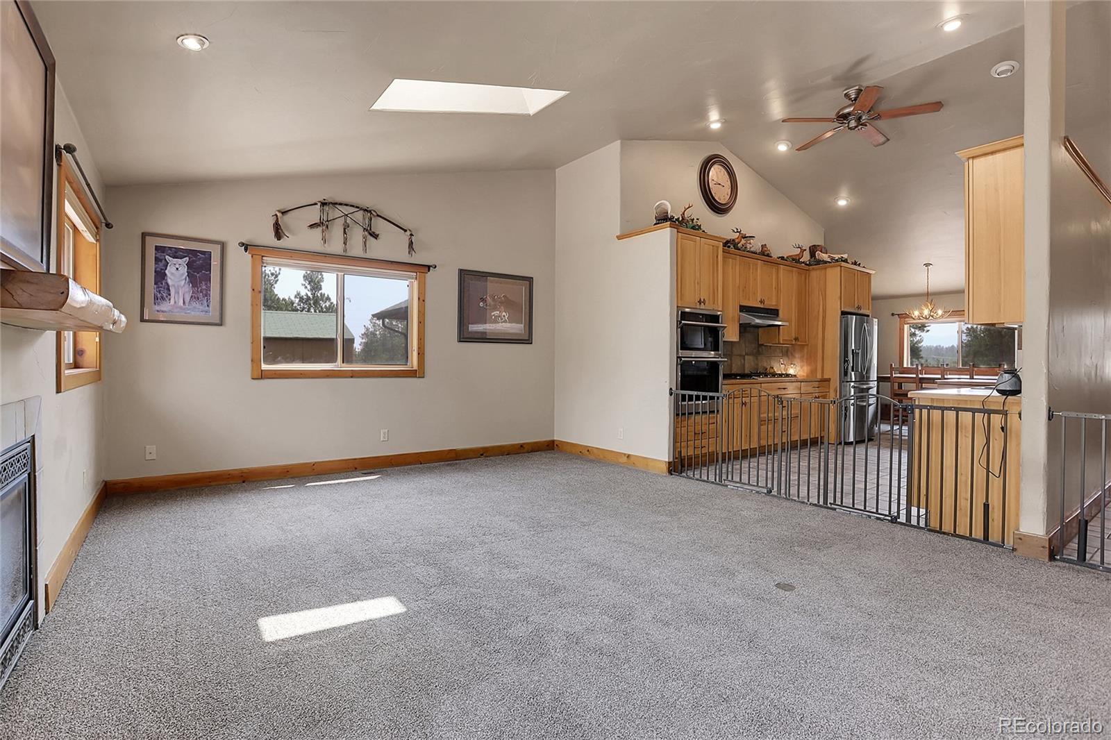 MLS Image #19 for 2063  roland drive,bailey, Colorado