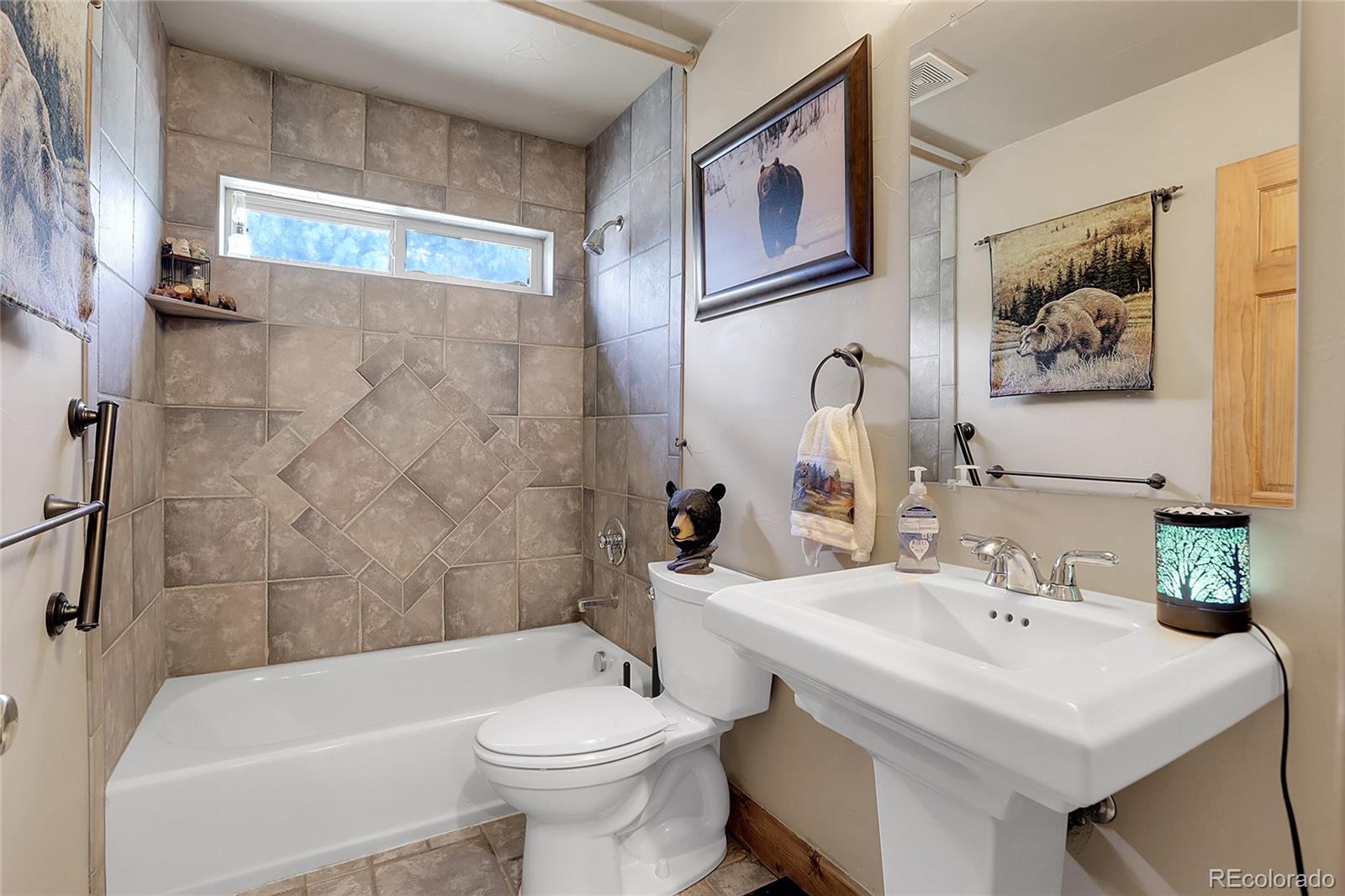 MLS Image #20 for 2063  roland drive,bailey, Colorado