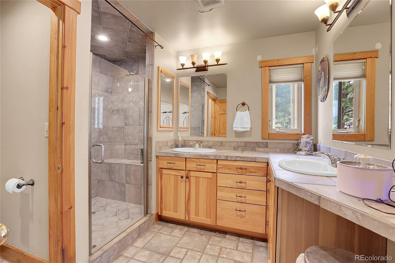 MLS Image #23 for 2063  roland drive,bailey, Colorado