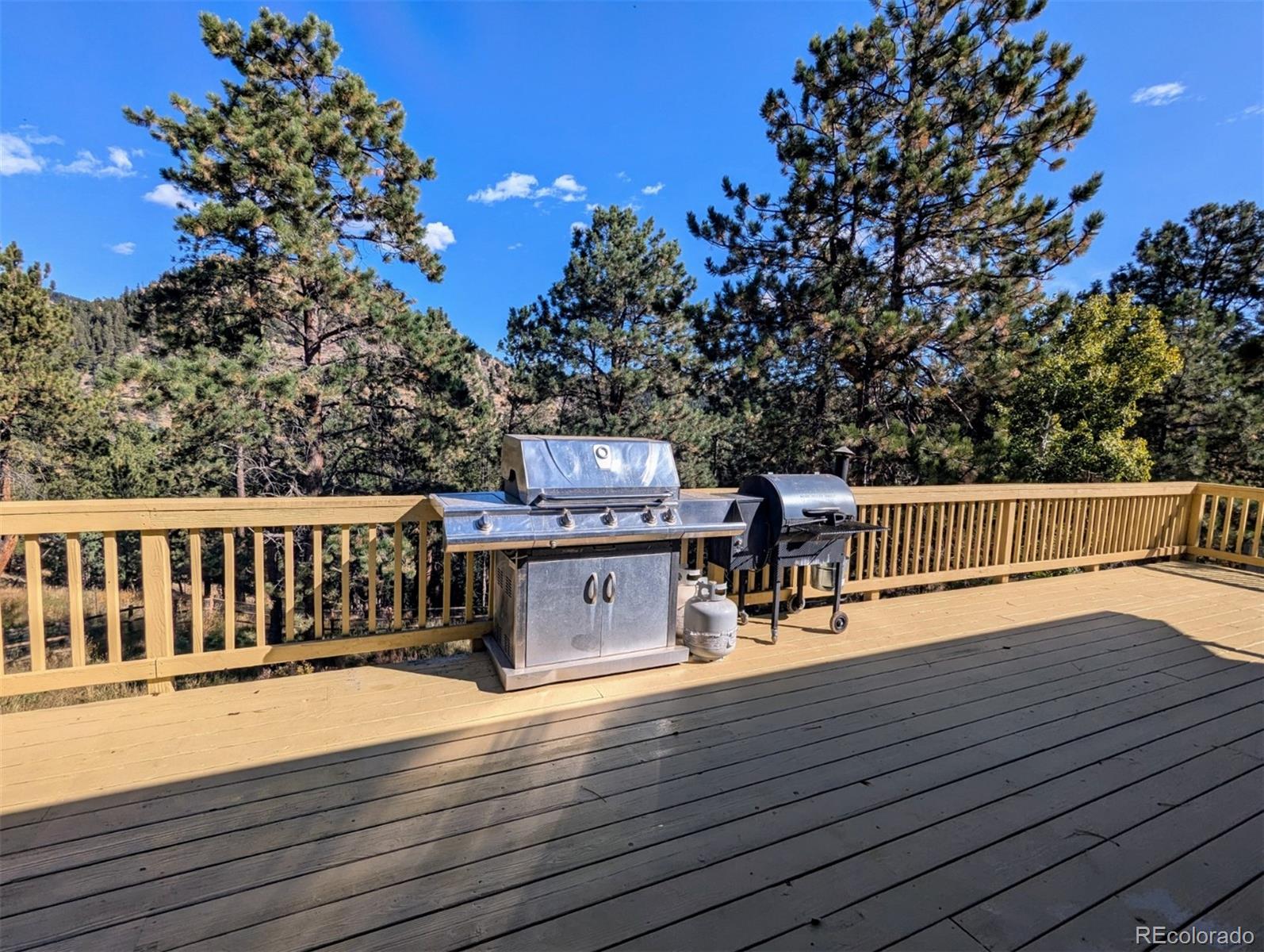 MLS Image #28 for 2063  roland drive,bailey, Colorado