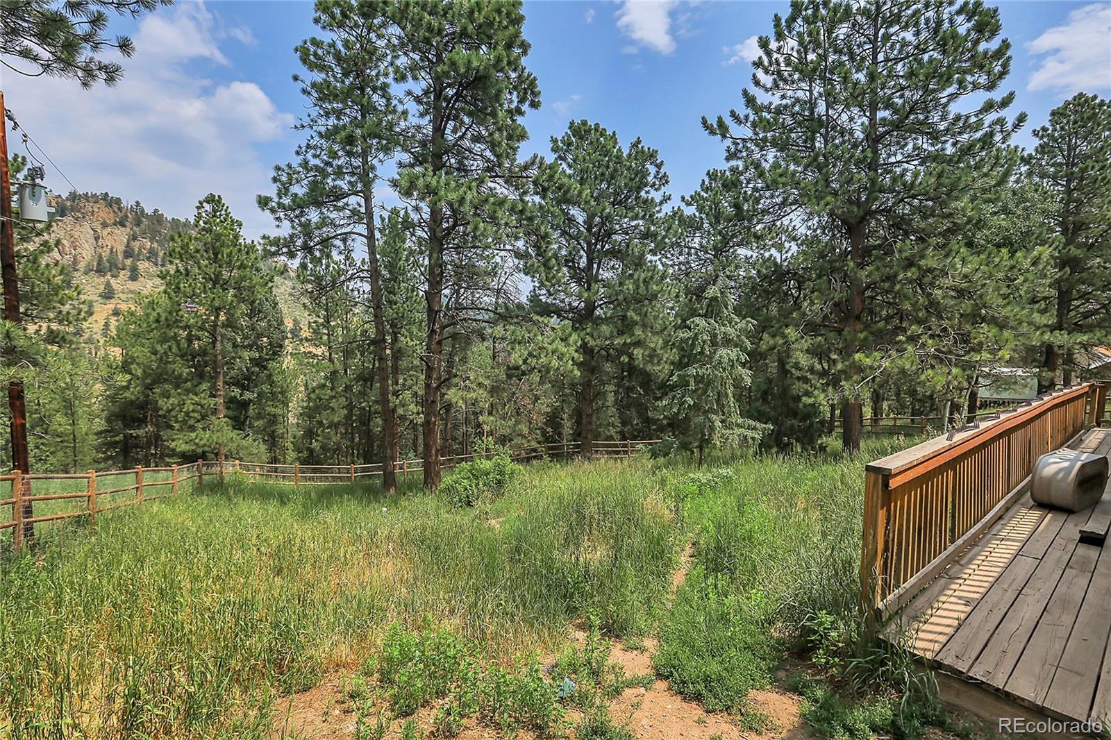 MLS Image #42 for 2063  roland drive,bailey, Colorado