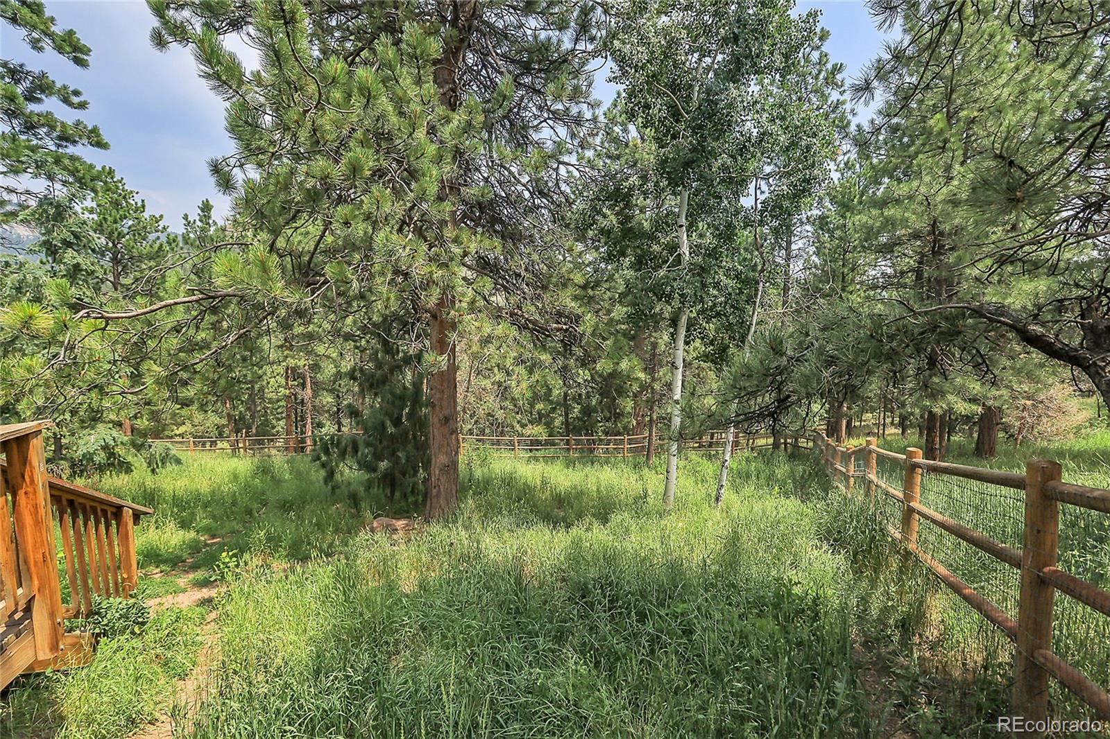 MLS Image #43 for 2063  roland drive,bailey, Colorado