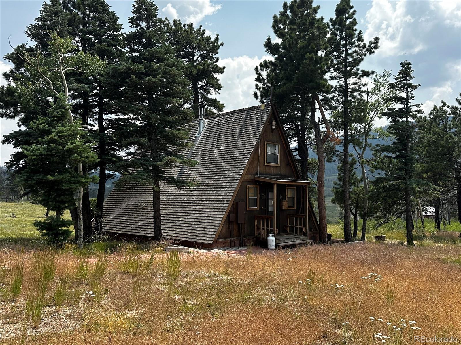 MLS Image #0 for 1718  mara loop,fort garland, Colorado