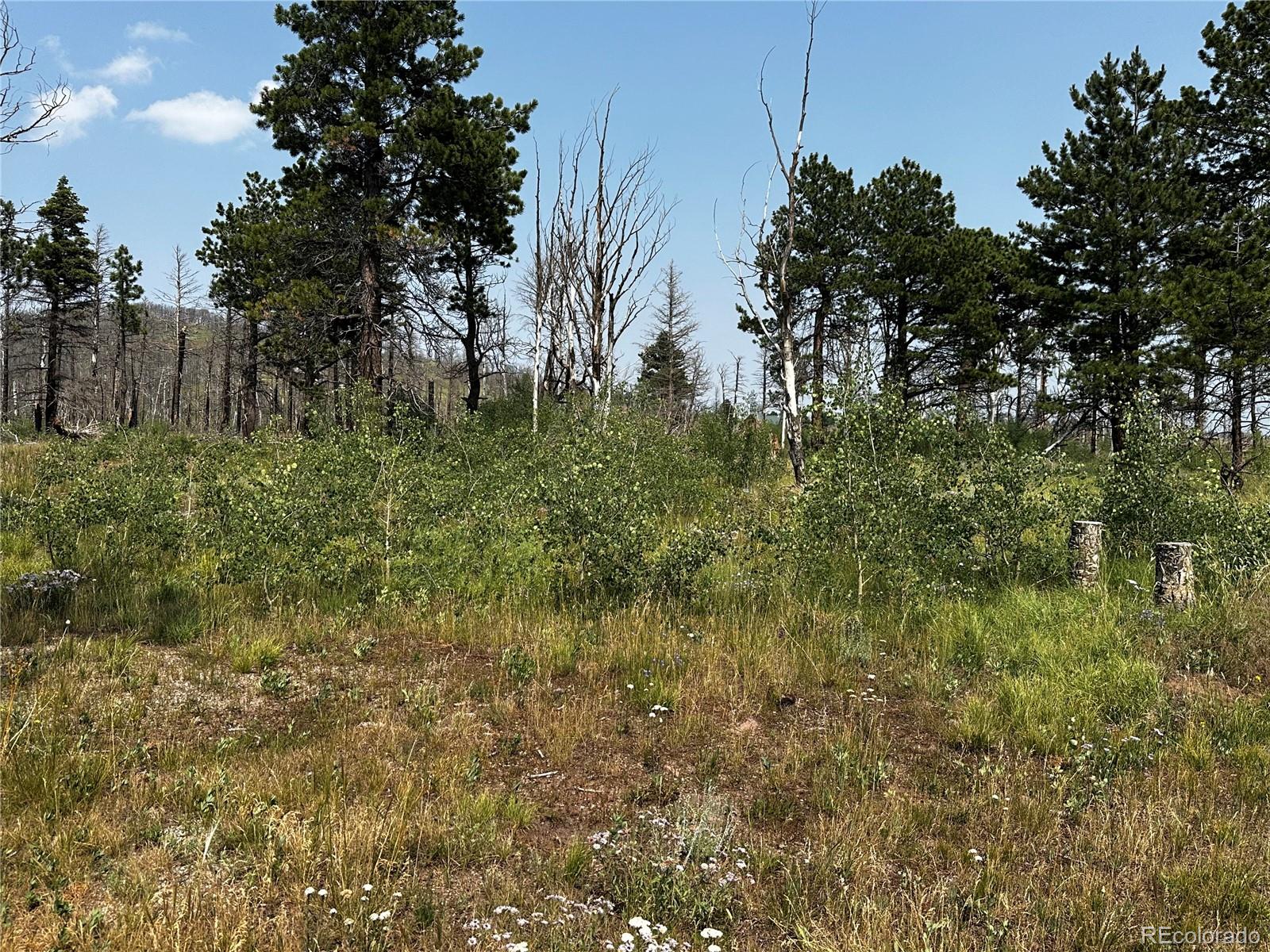 MLS Image #32 for 1718  mara loop,fort garland, Colorado