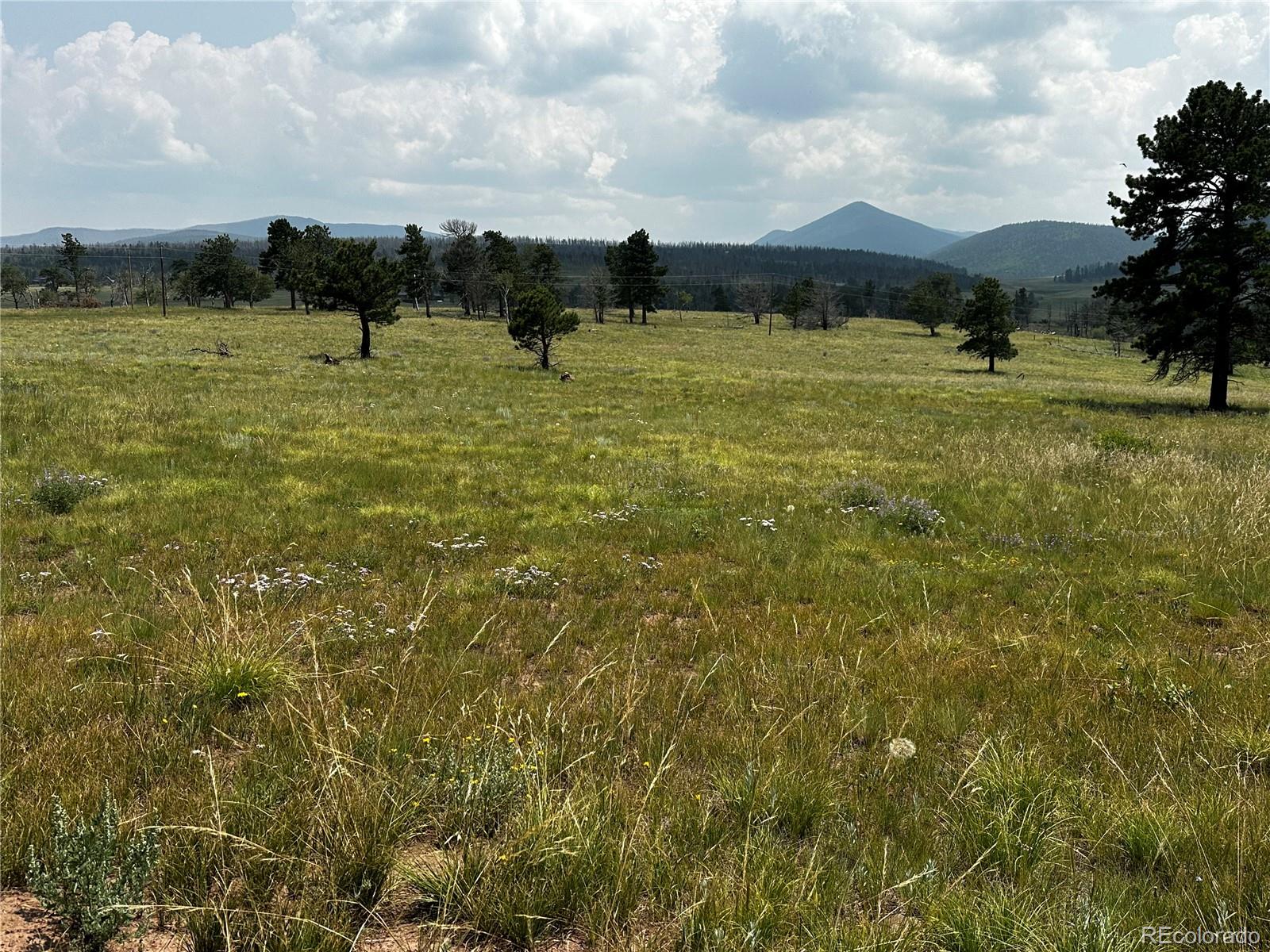 MLS Image #4 for 1718  mara loop,fort garland, Colorado