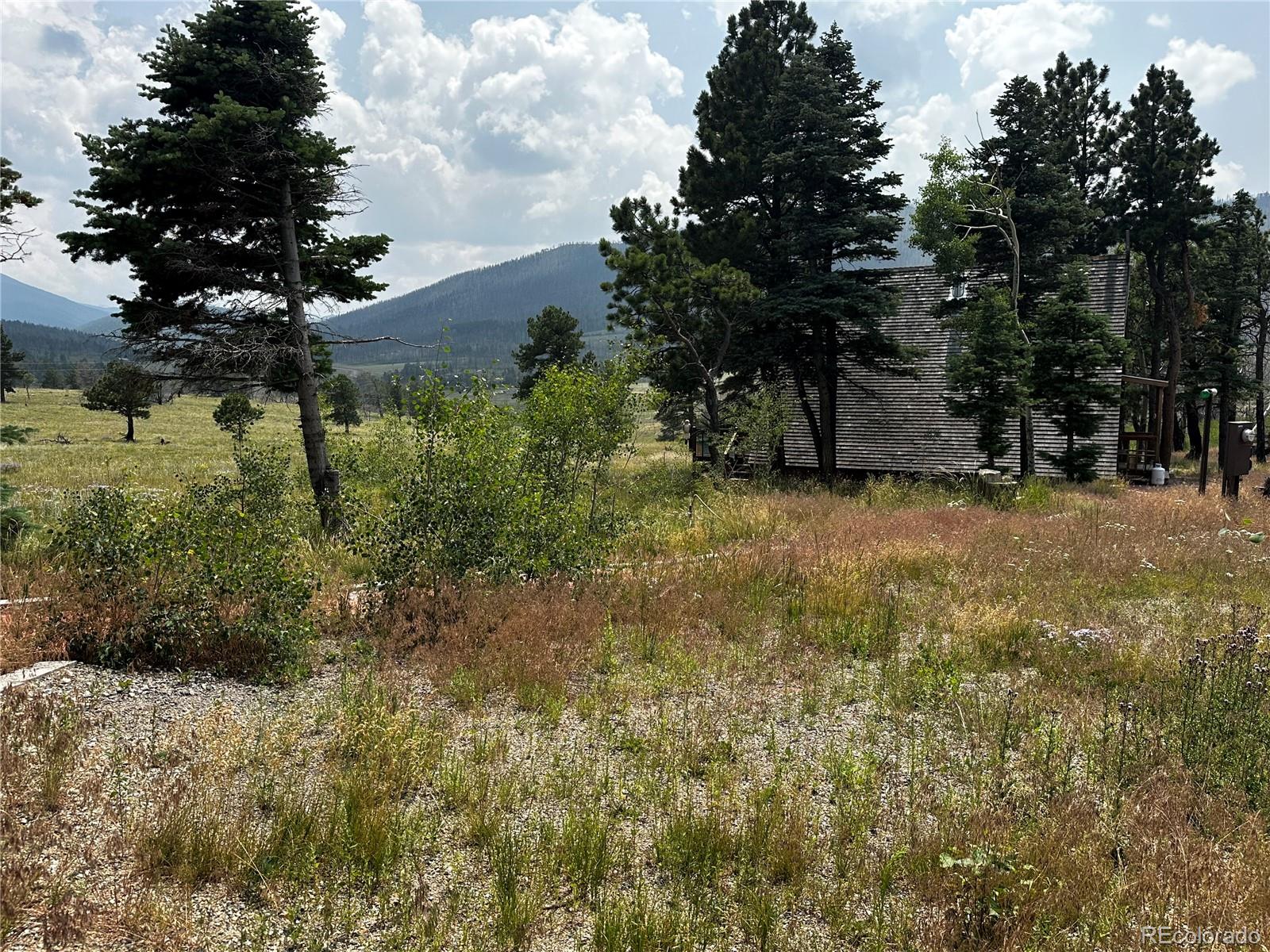 MLS Image #8 for 1718  mara loop,fort garland, Colorado