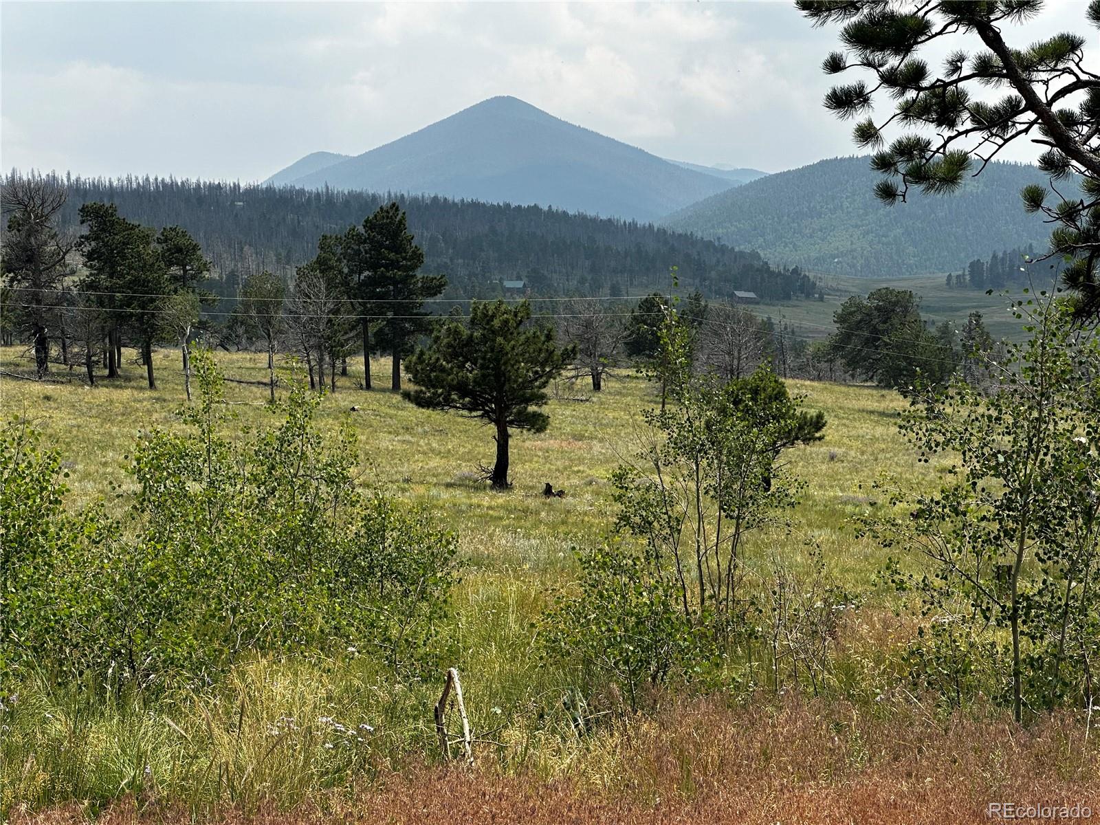 MLS Image #9 for 1718  mara loop,fort garland, Colorado