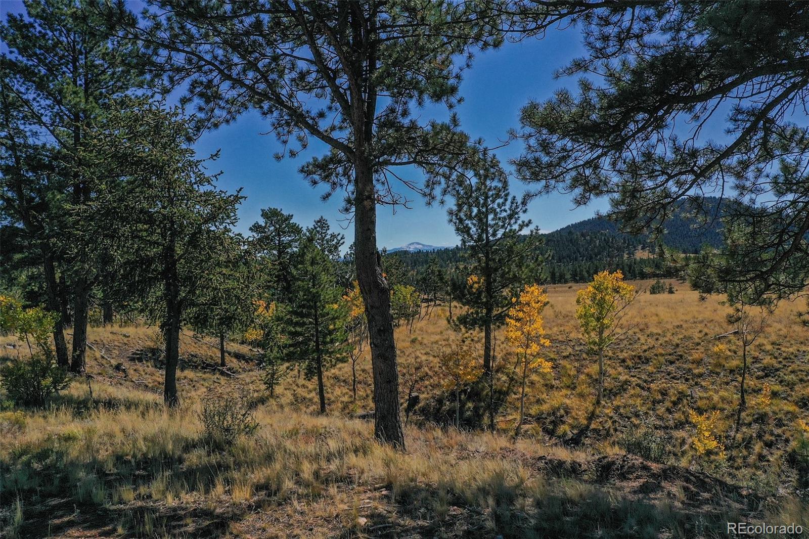 MLS Image #18 for 2550  webber park drive,lake george, Colorado