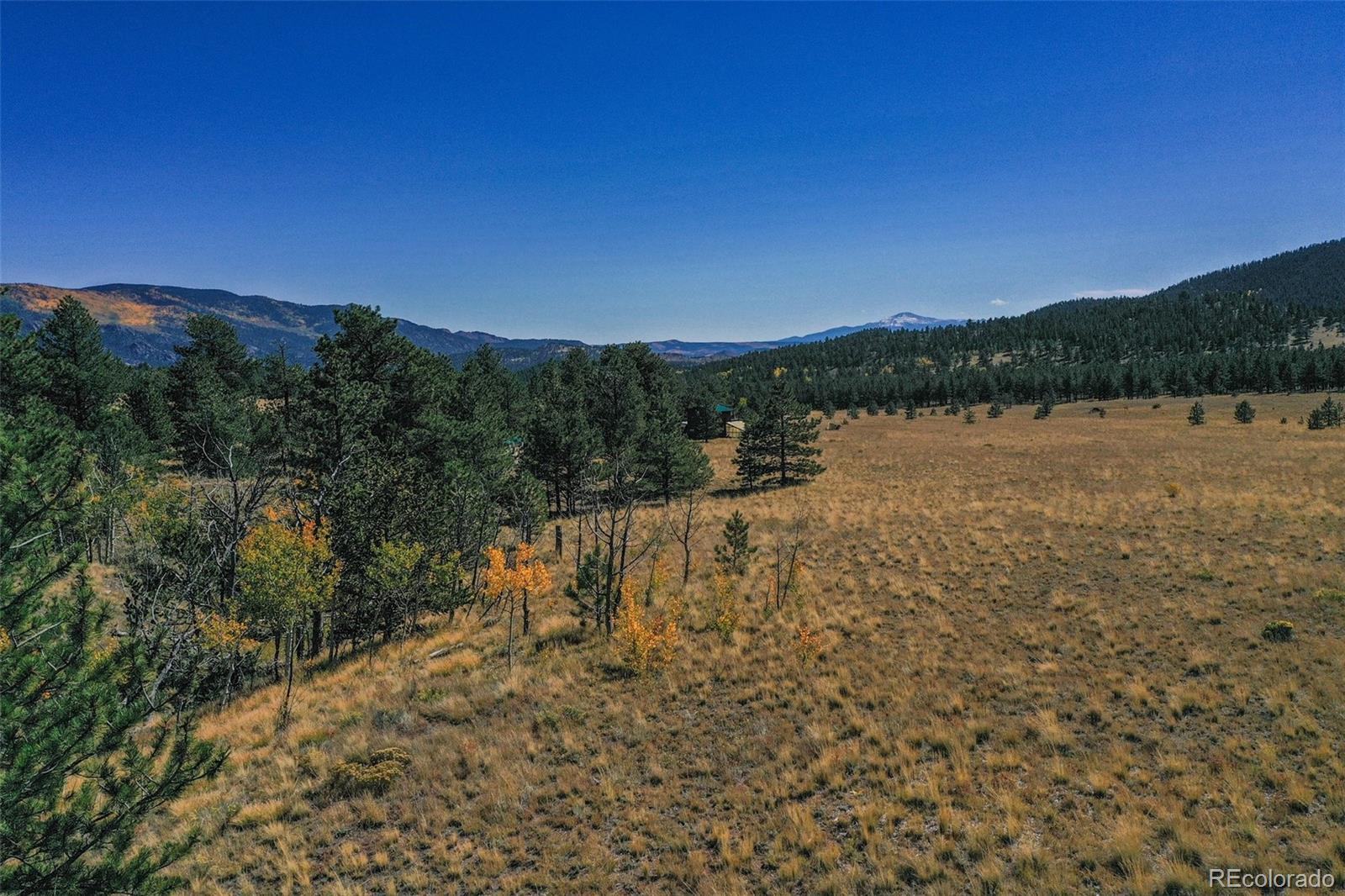 MLS Image #19 for 2550  webber park drive,lake george, Colorado