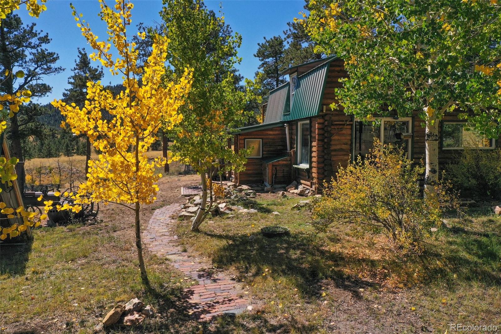 MLS Image #2 for 2550  webber park drive,lake george, Colorado