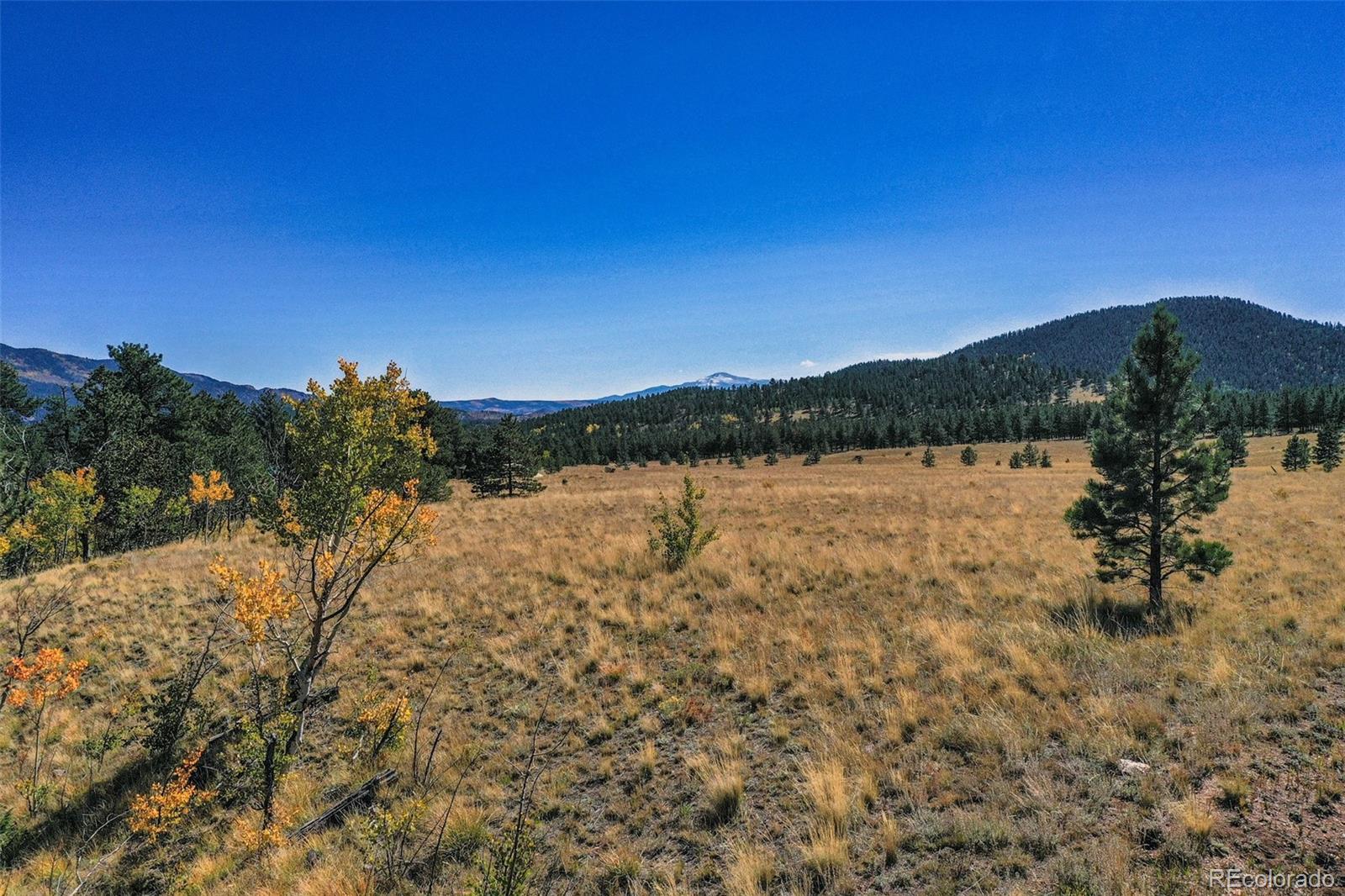 MLS Image #20 for 2550  webber park drive,lake george, Colorado