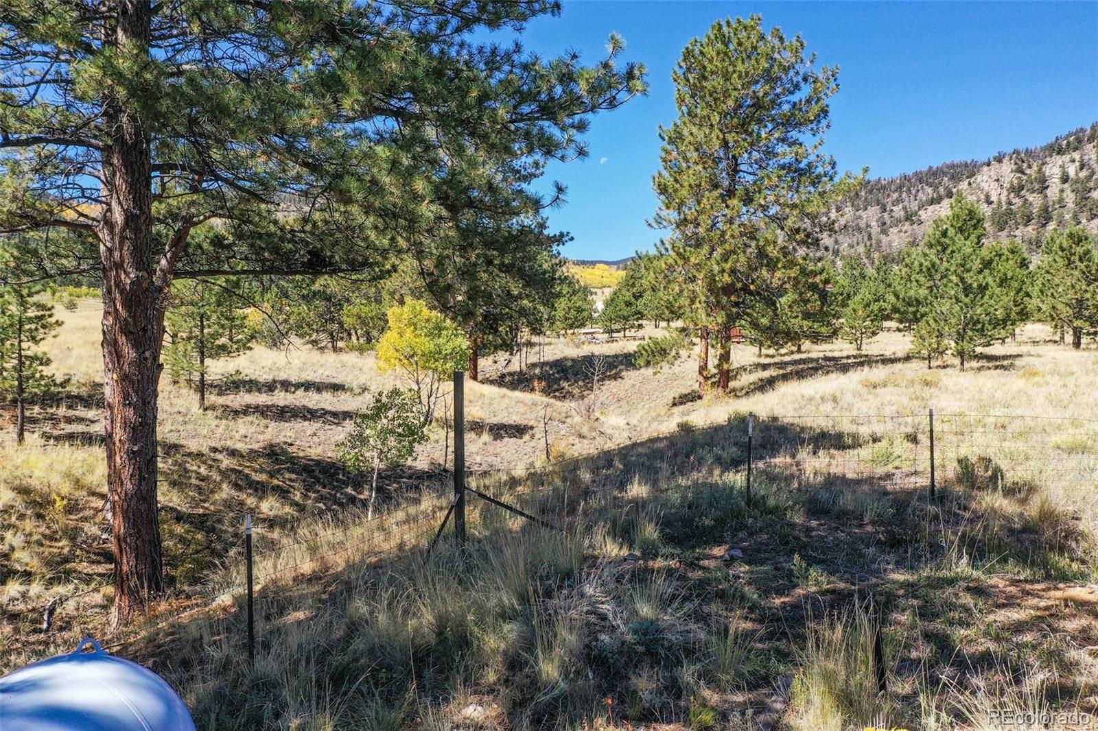 MLS Image #27 for 2550  webber park drive,lake george, Colorado